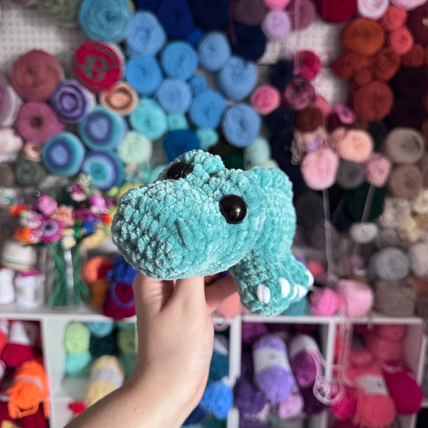 Alligator