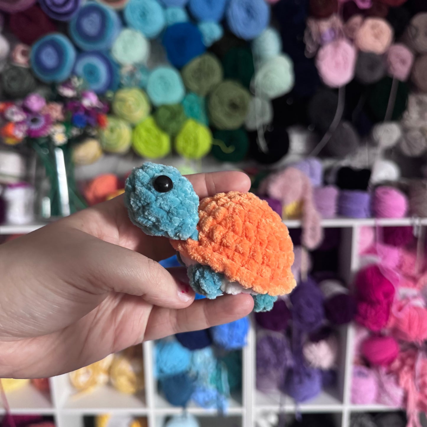 Mini Turtles