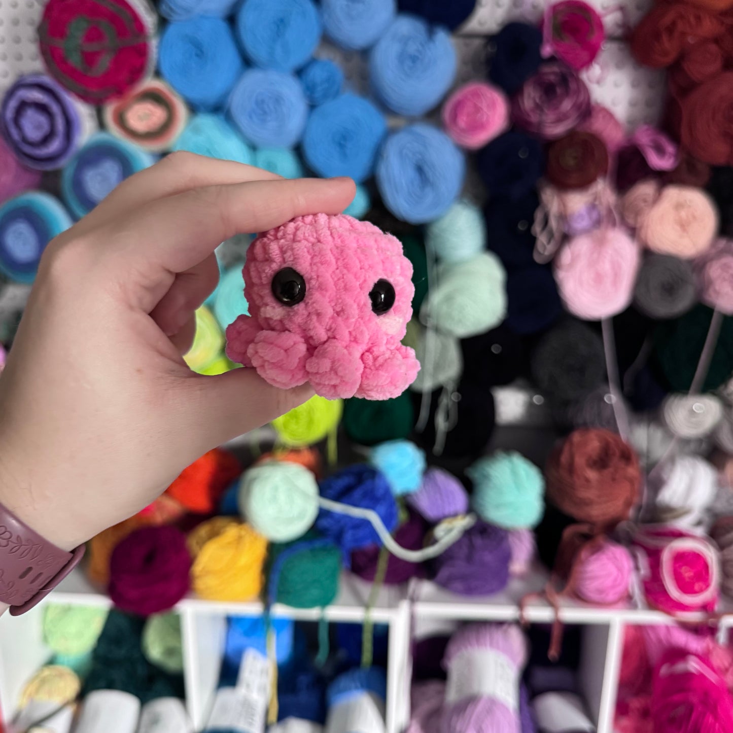 Mini Octopus