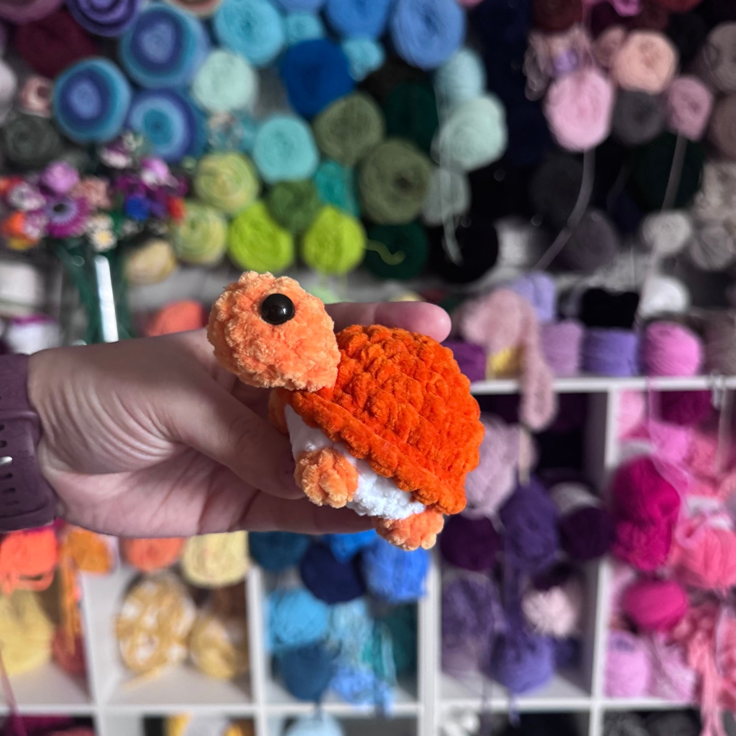 Mini Turtles