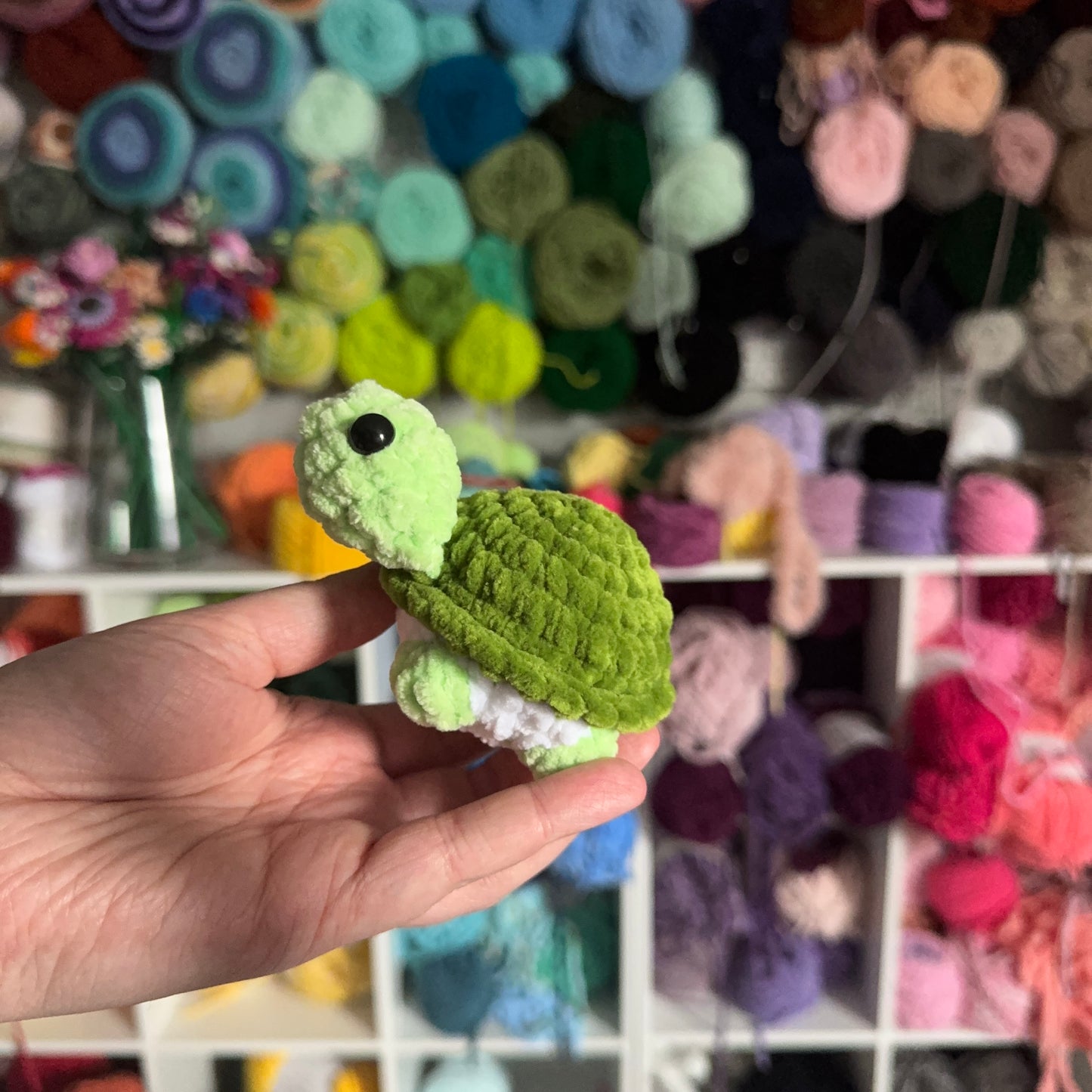 Mini Turtles