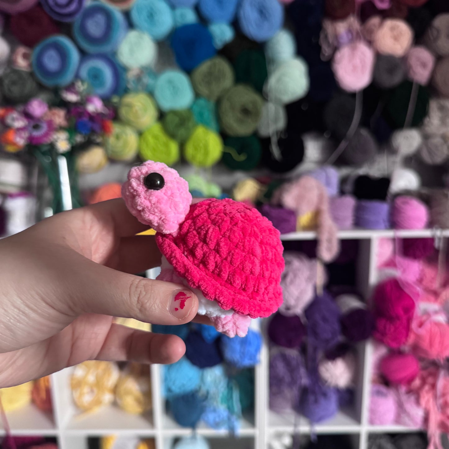 Mini Turtles
