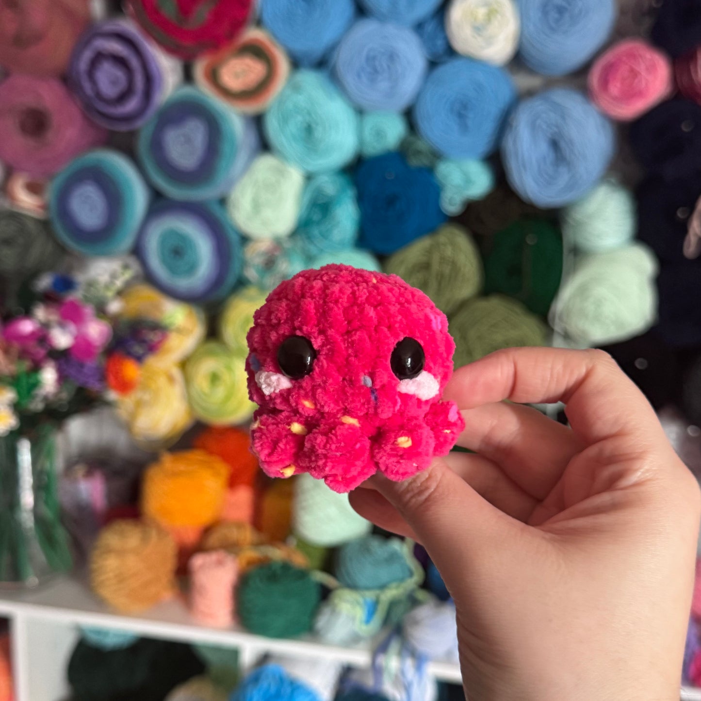 Mini Octopus