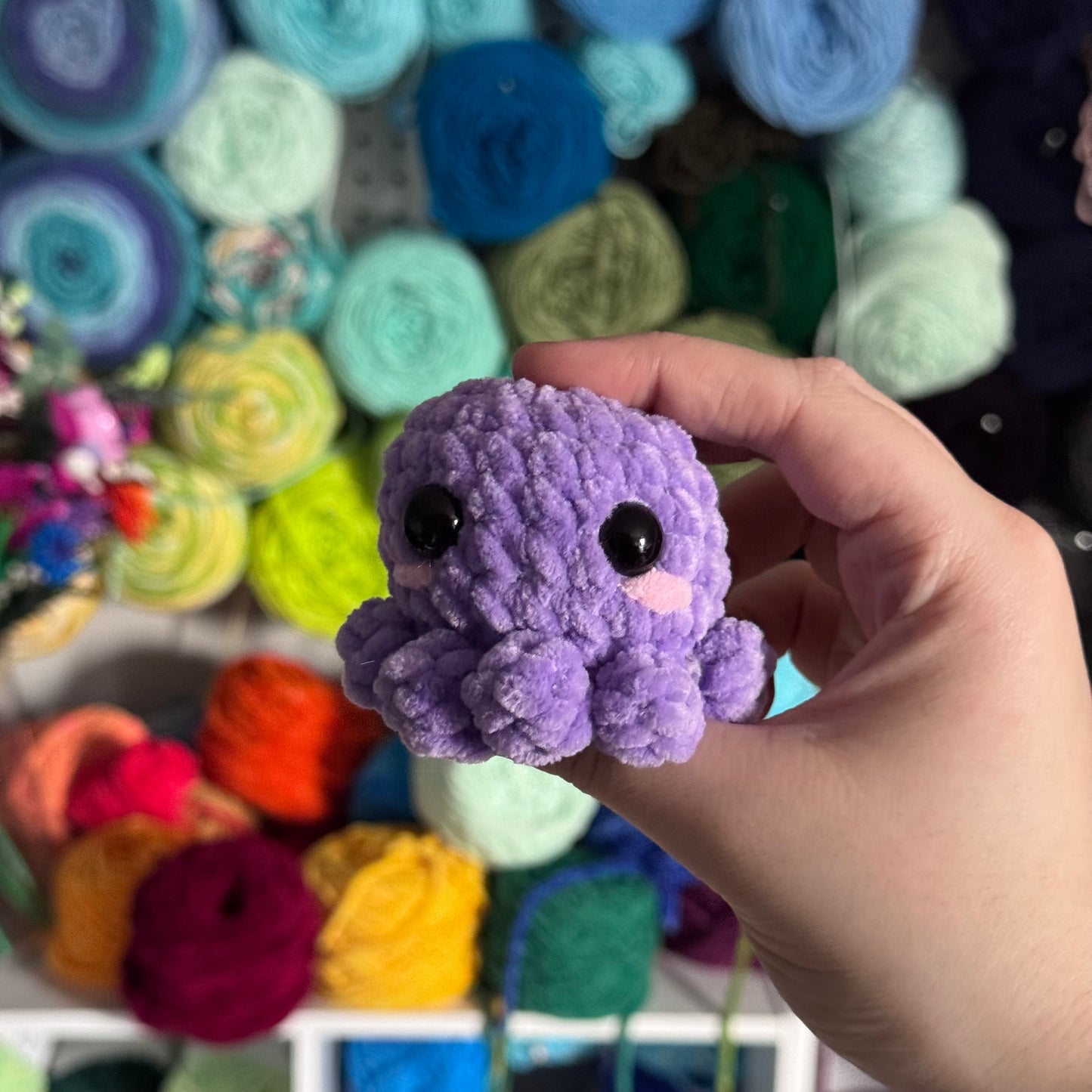 Mini Octopus