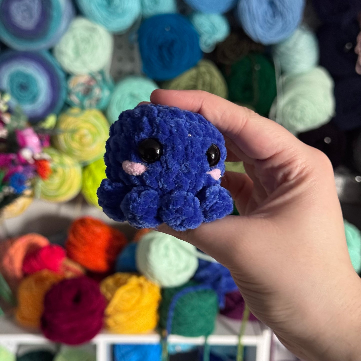 Mini Octopus