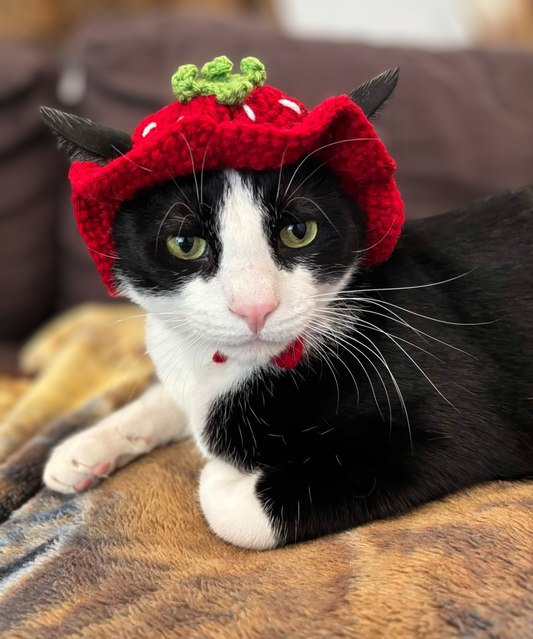 Small Pet Fruit Bucket Hat