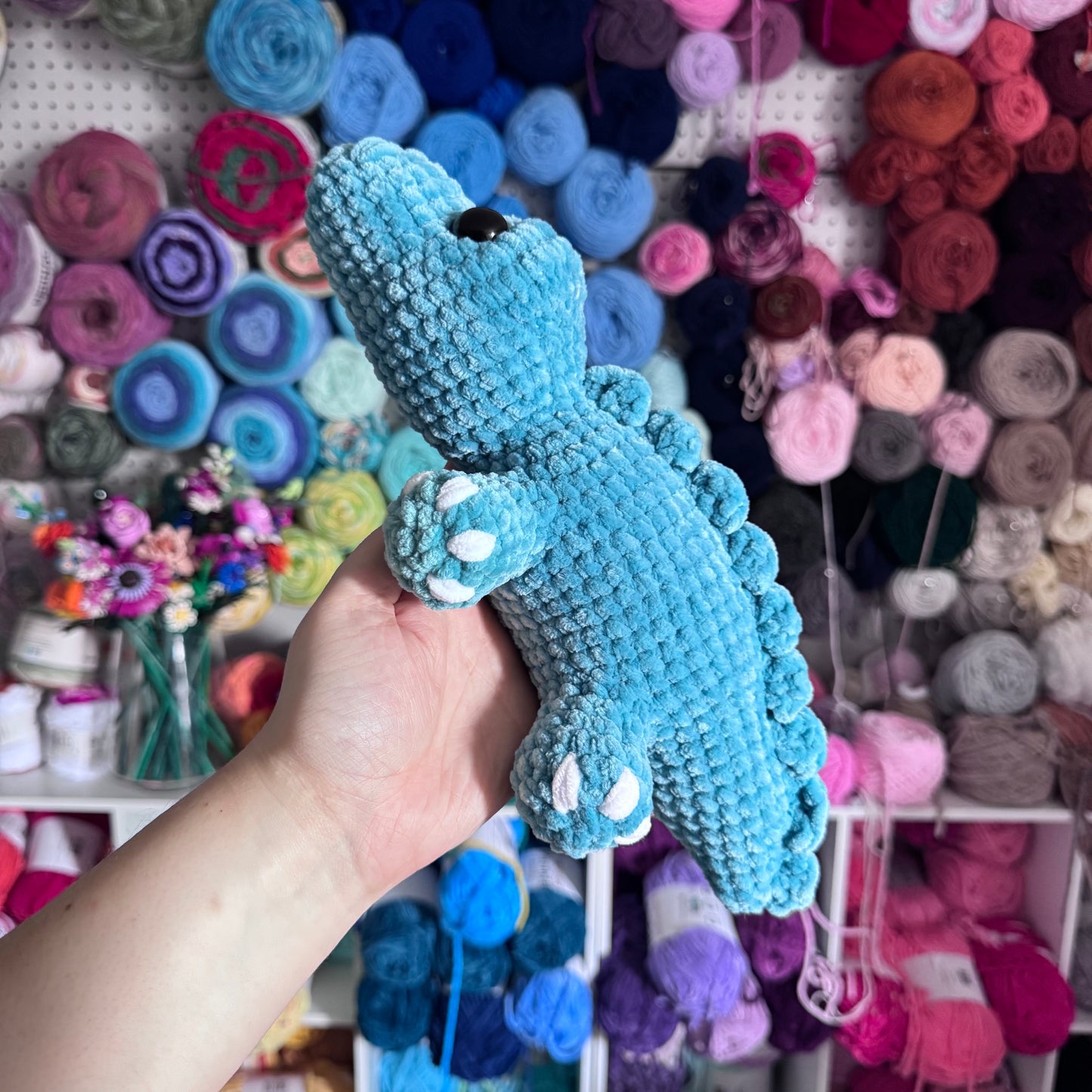 Alligator