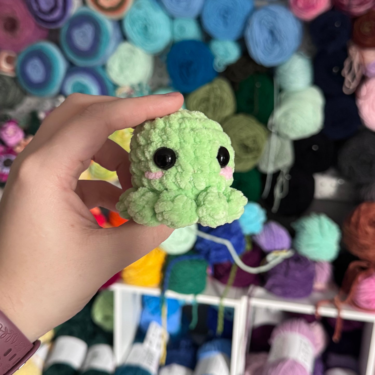 Mini Octopus