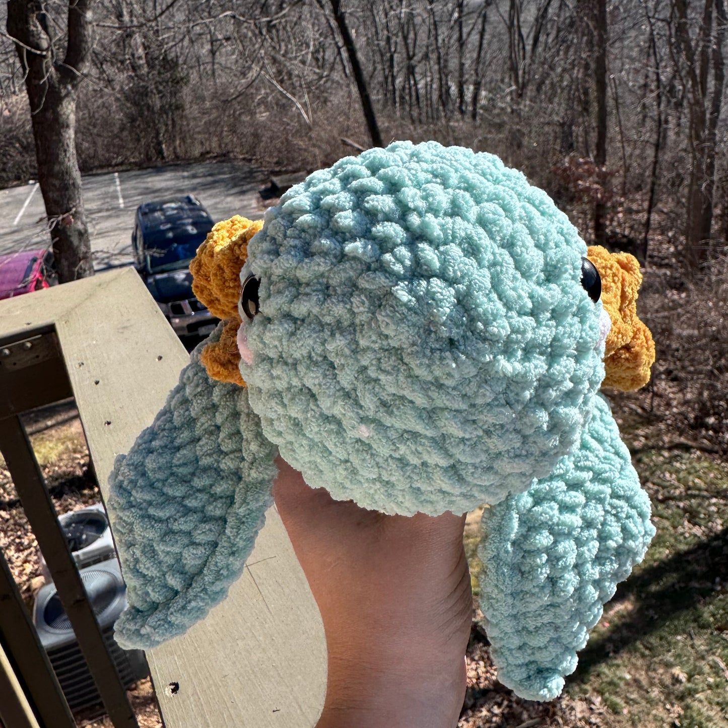 sunflower turtle