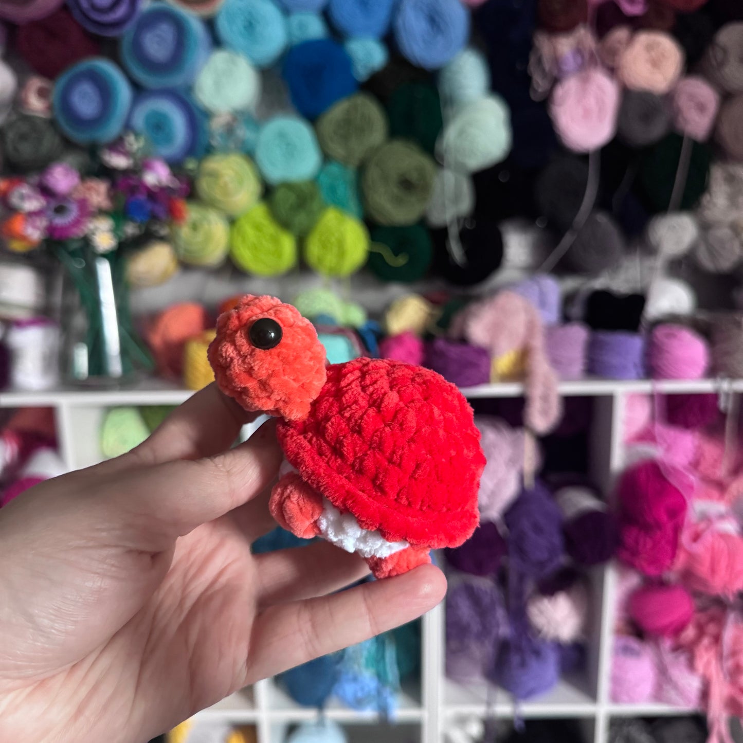 Mini Turtles