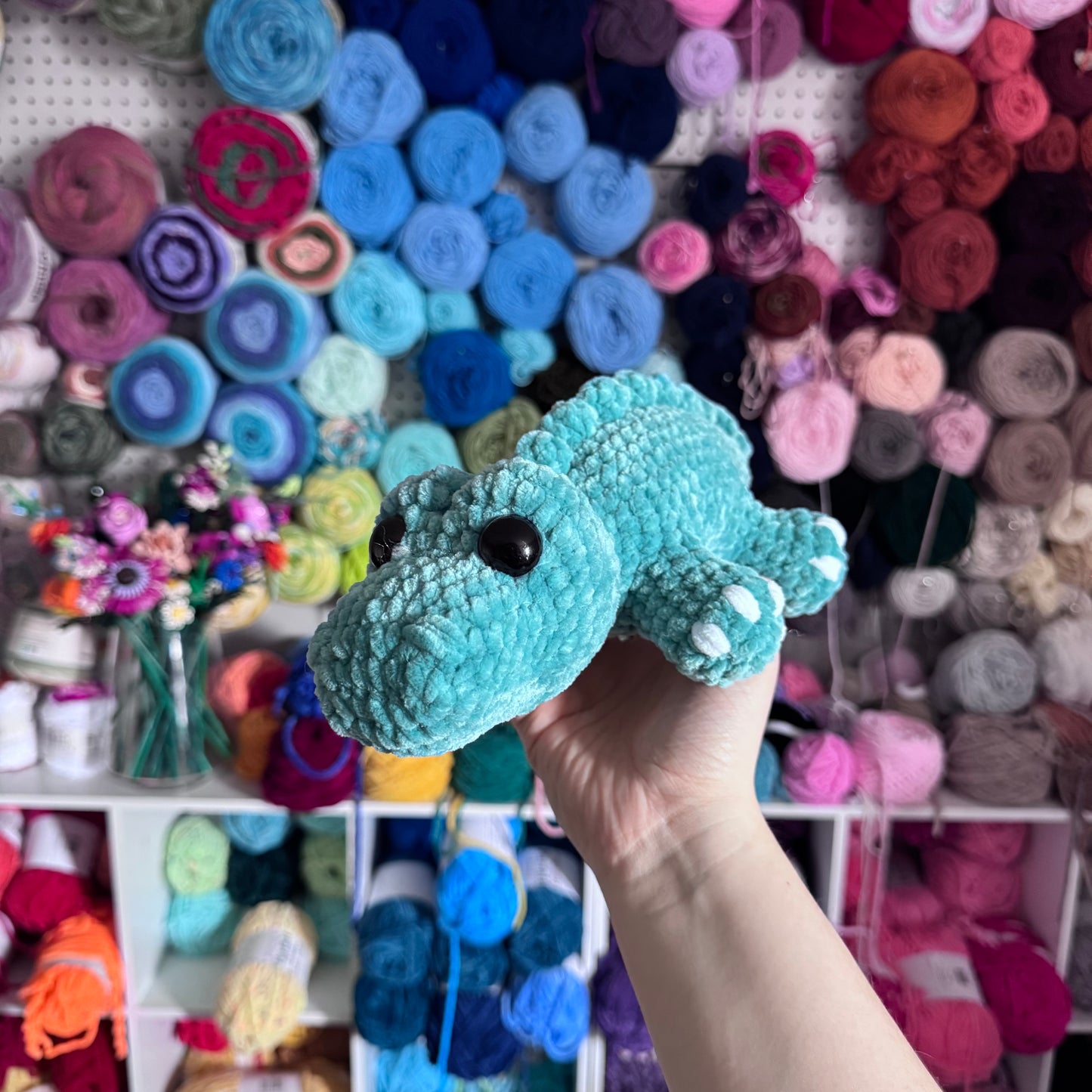 Alligator