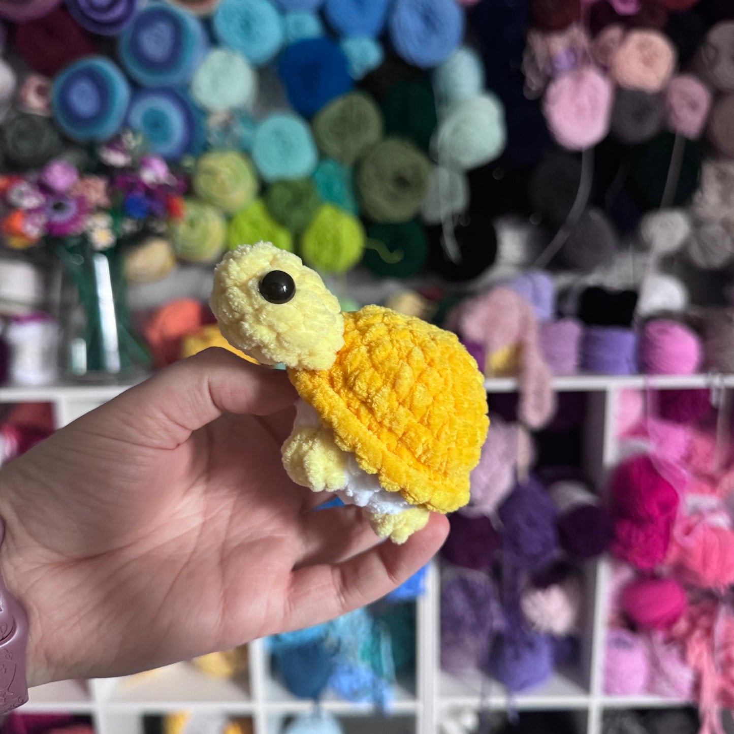 Mini Turtles