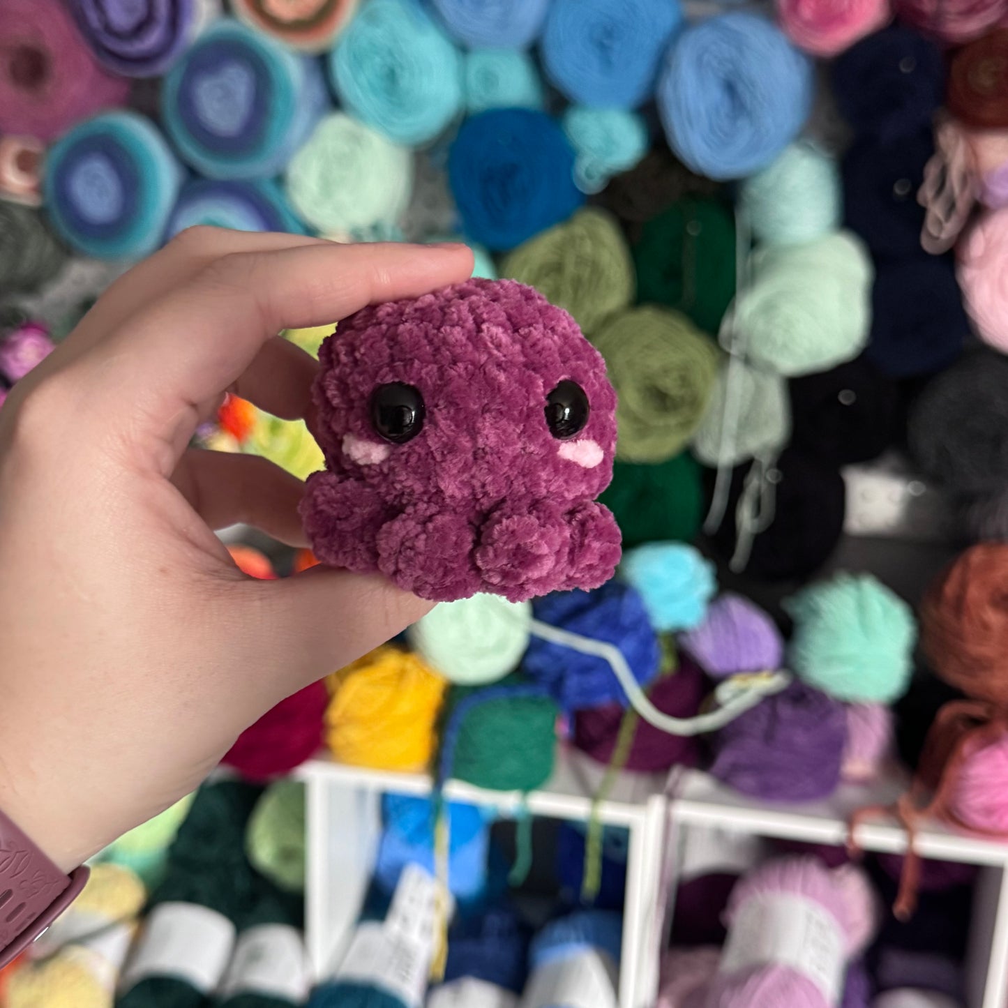 Mini Octopus