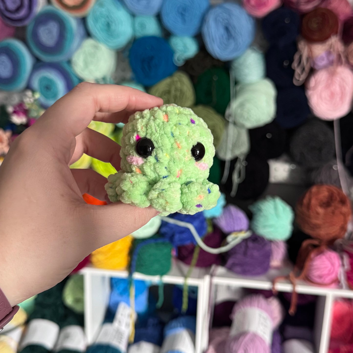 Mini Octopus