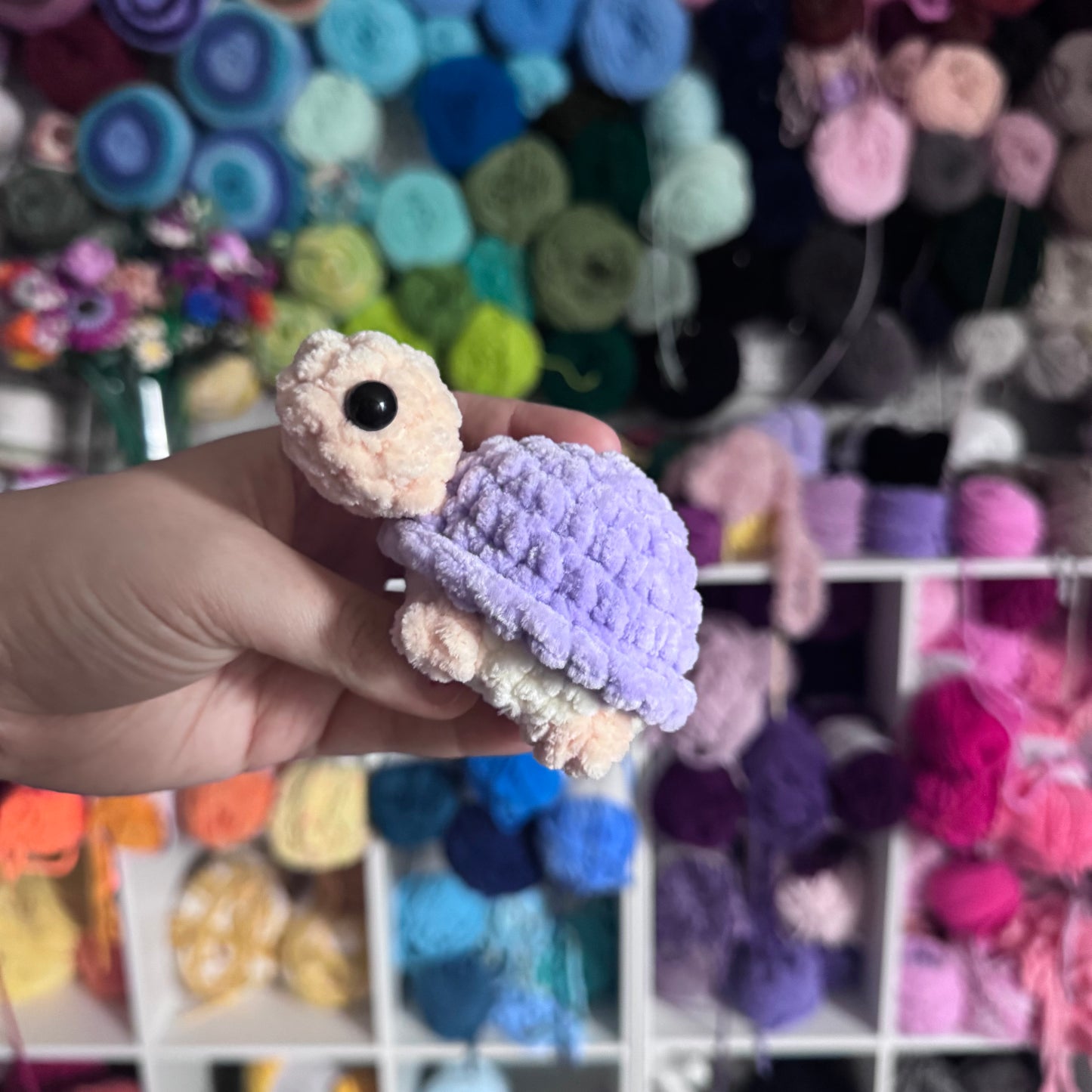 Mini Turtles