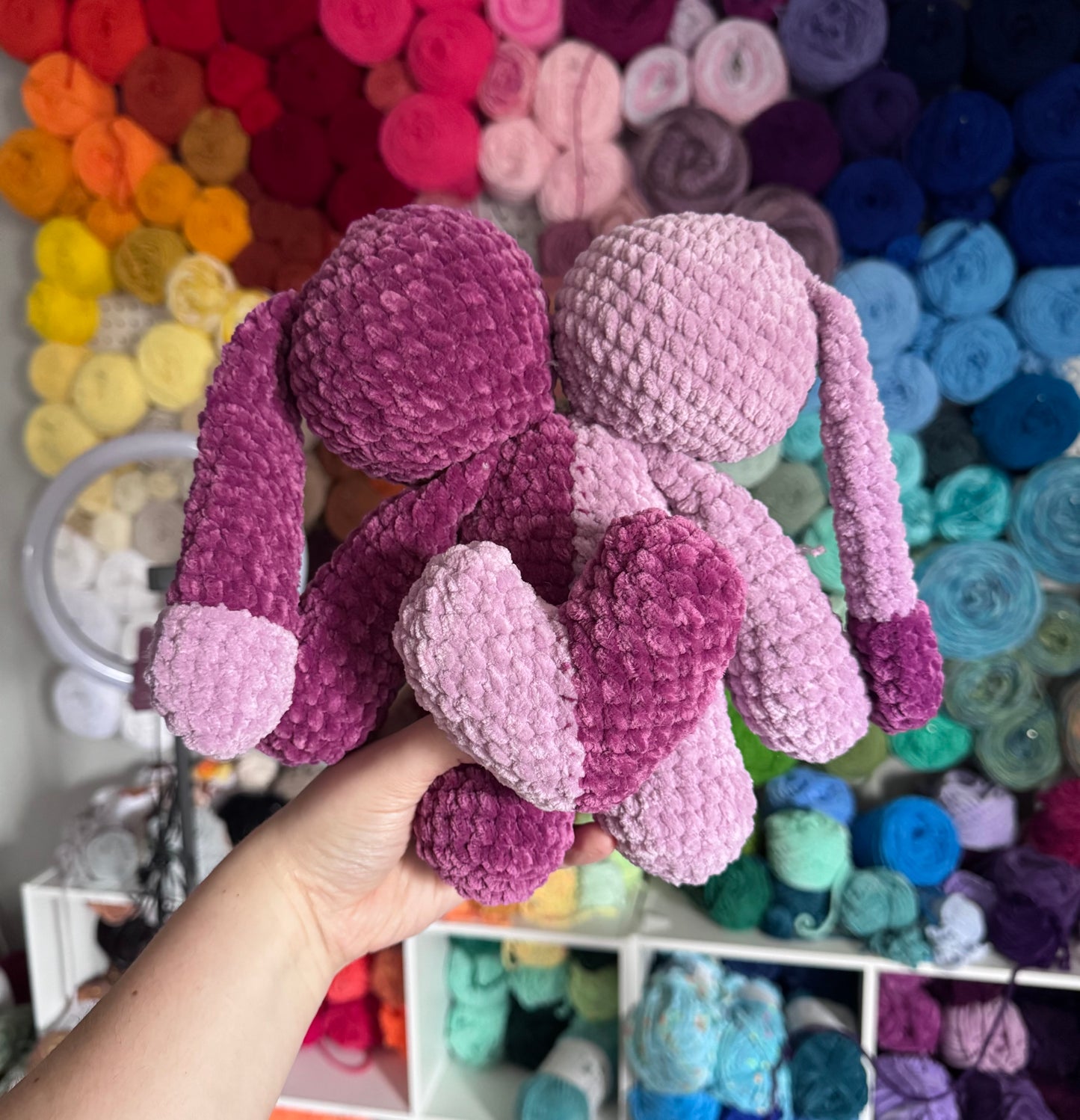 2 Headed Bunny
