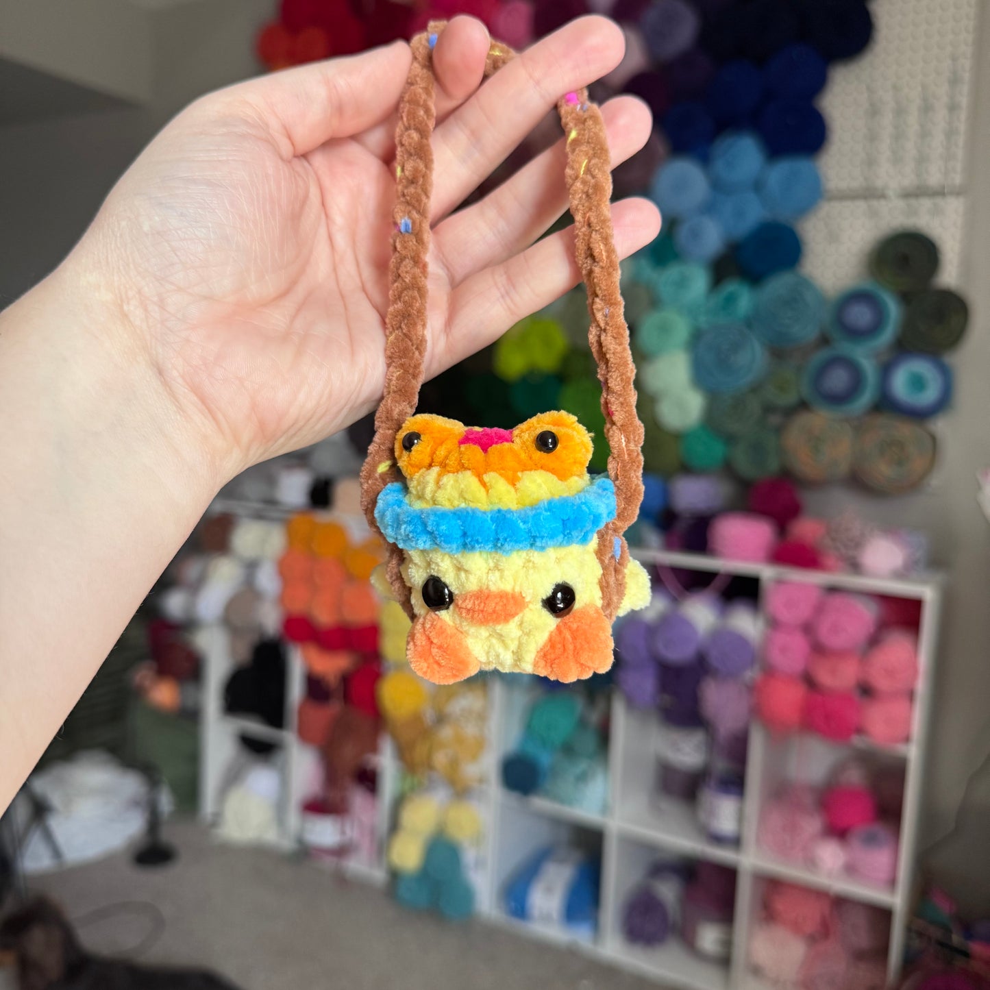 Duck With a Frog Hat Hanger