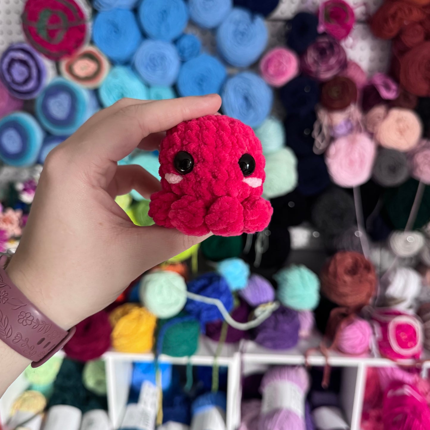 Mini Octopus
