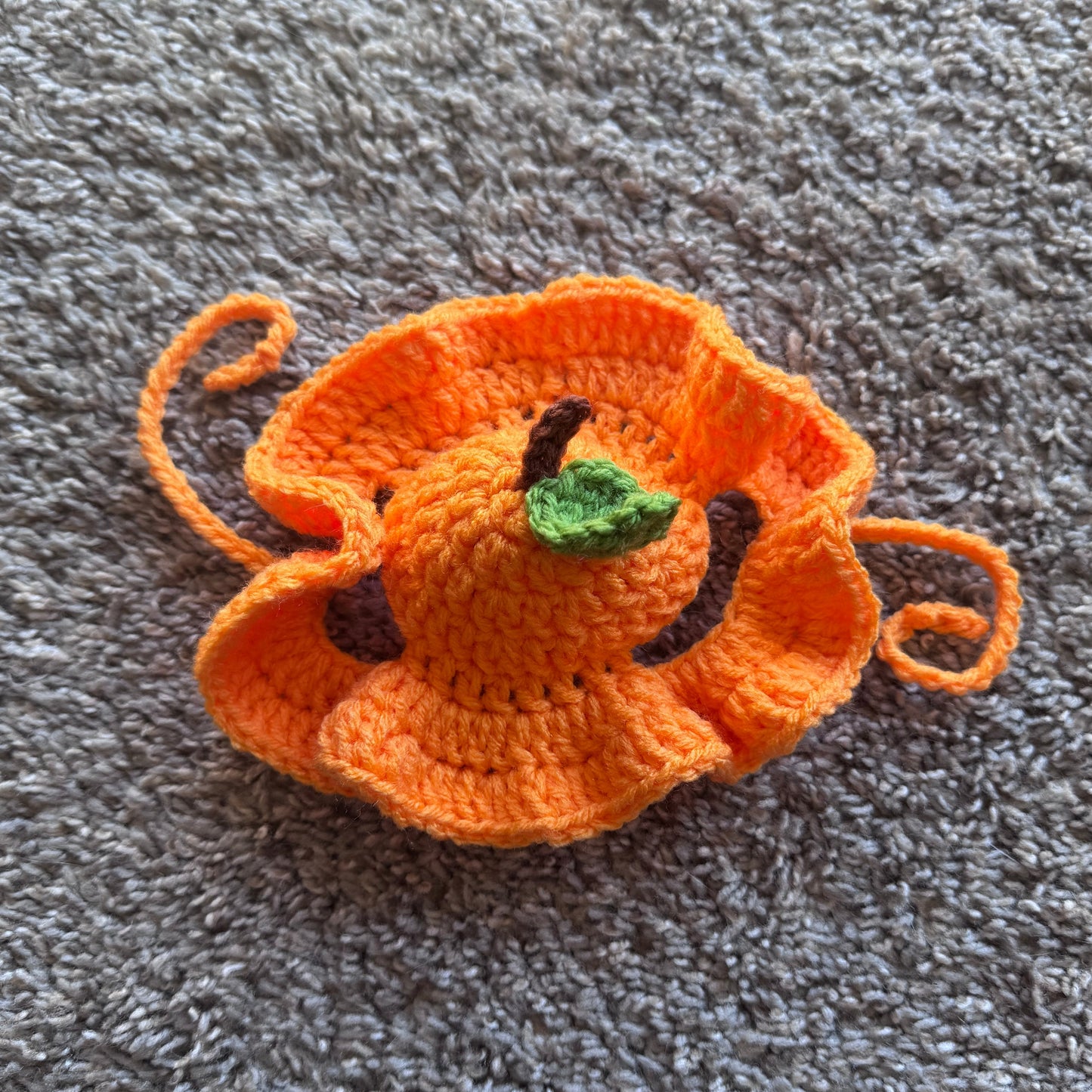 Small Pet Fruit Bucket Hat