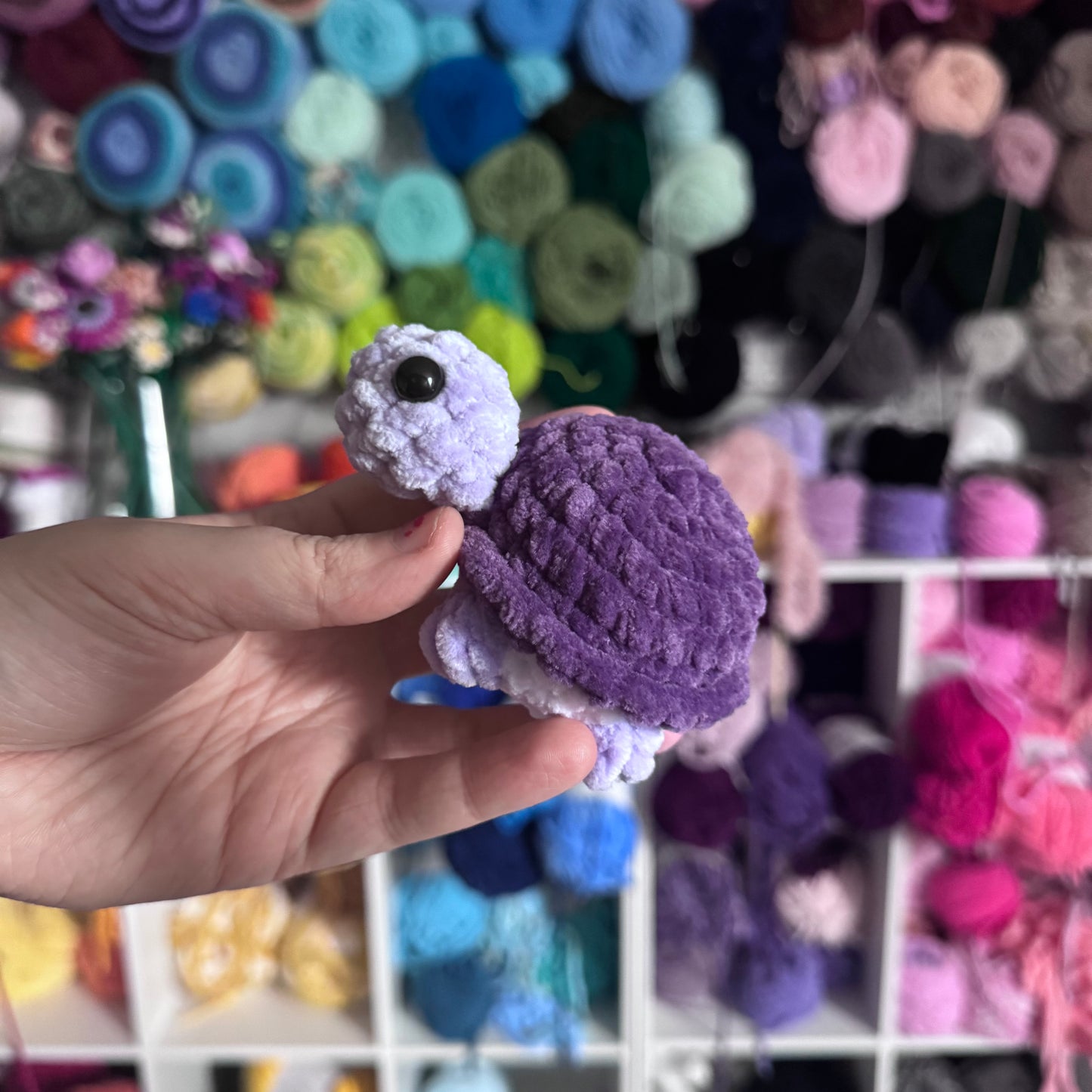 Mini Turtles