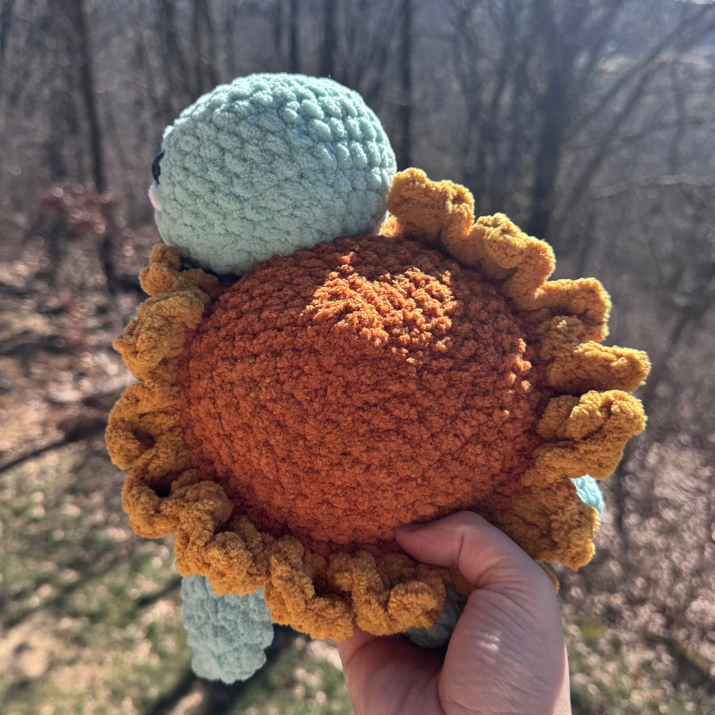 sunflower turtle