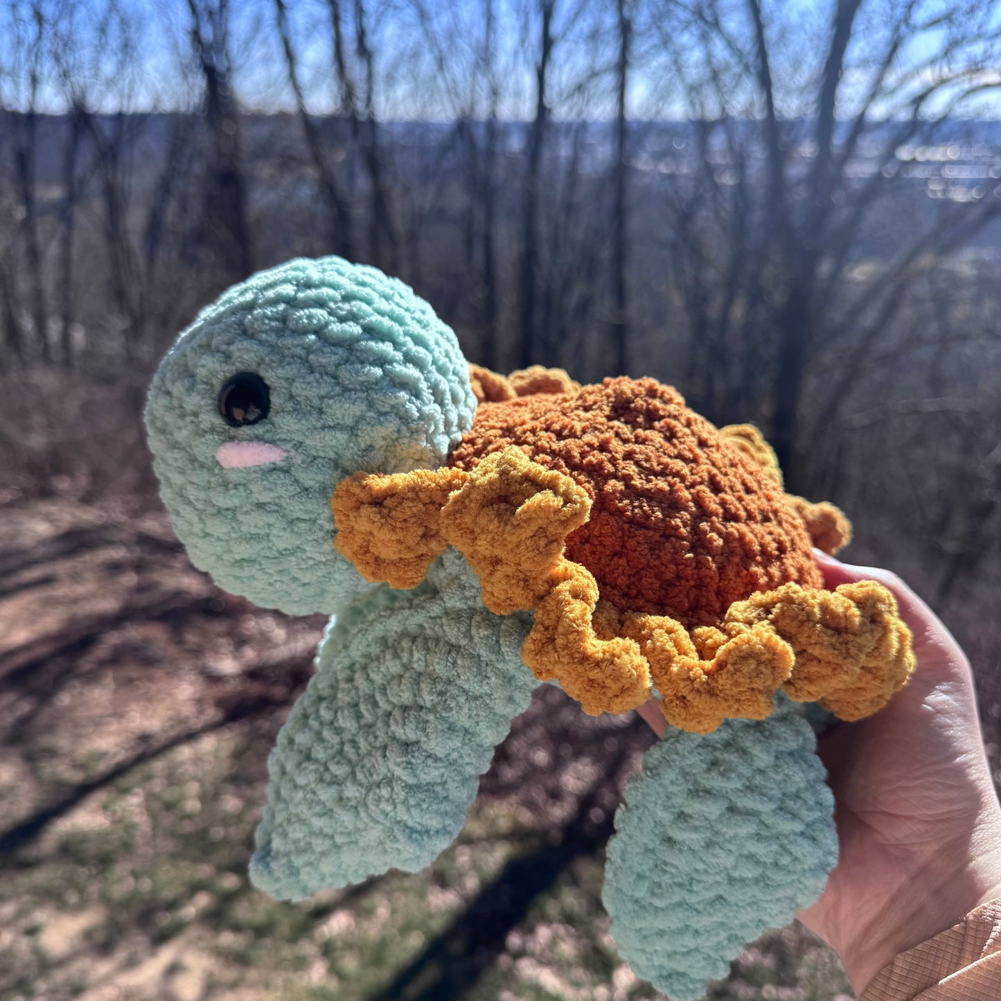 sunflower turtle