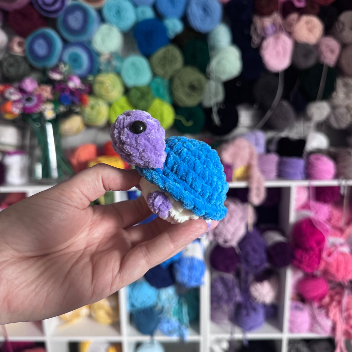 Mini Turtles