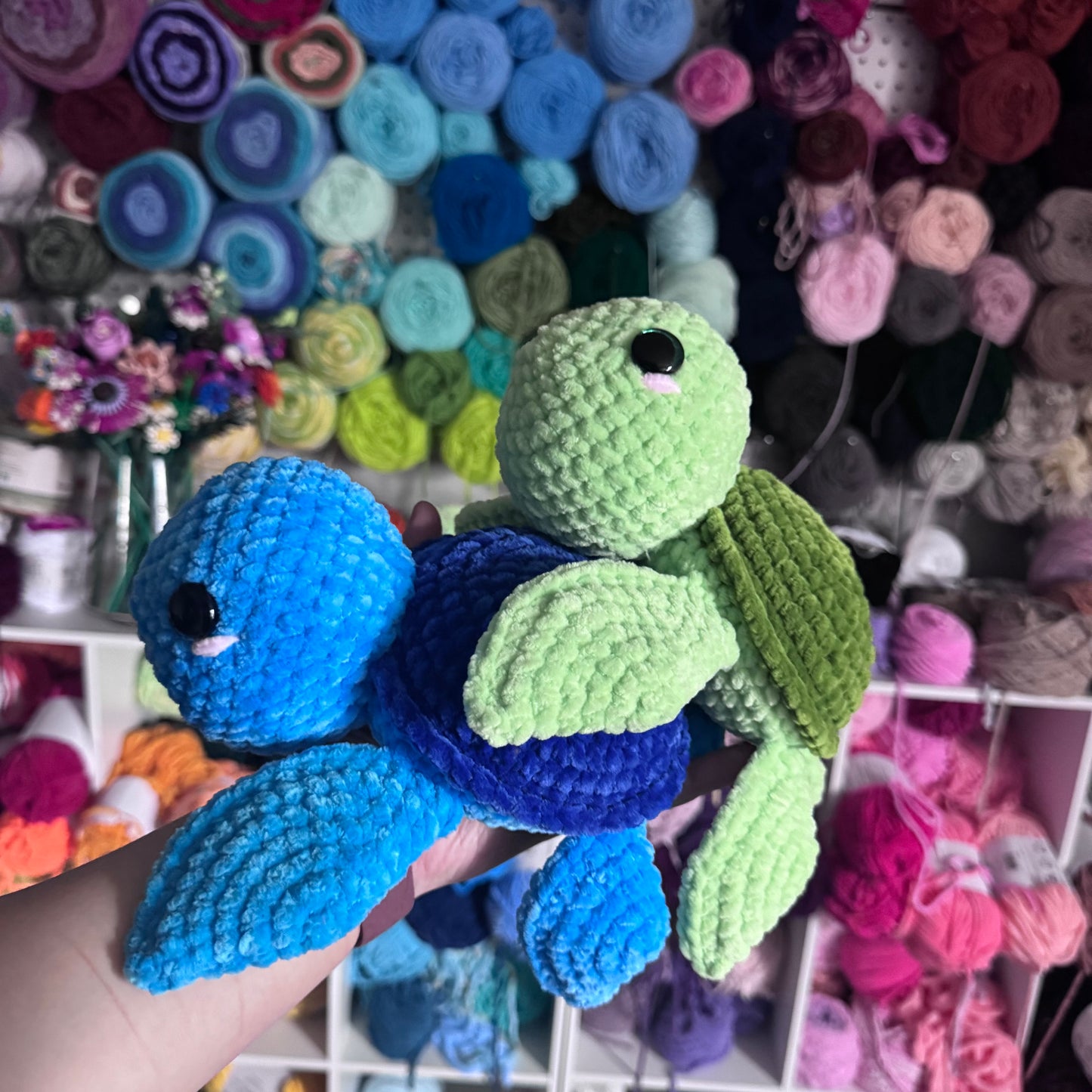 adult turtles
