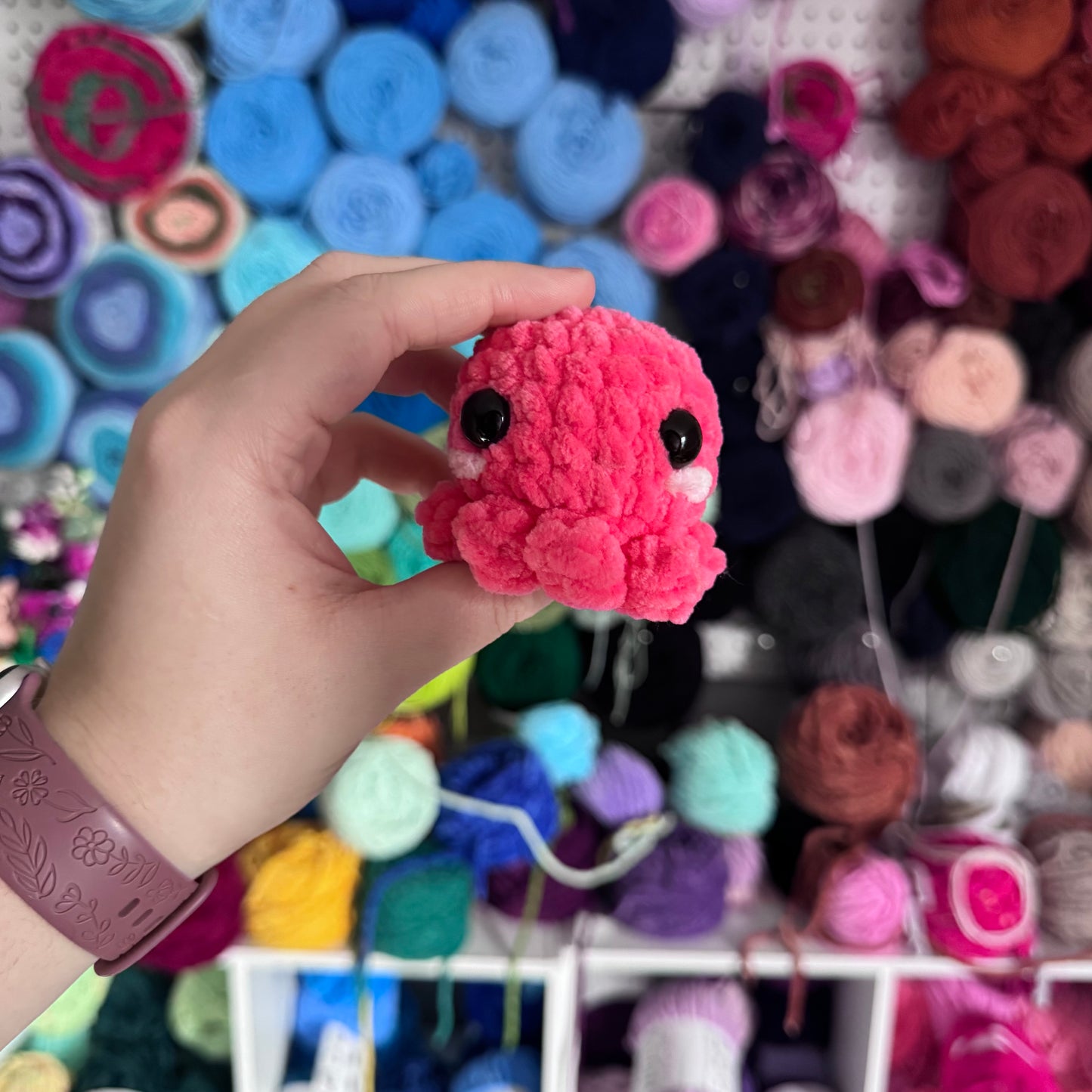 Mini Octopus