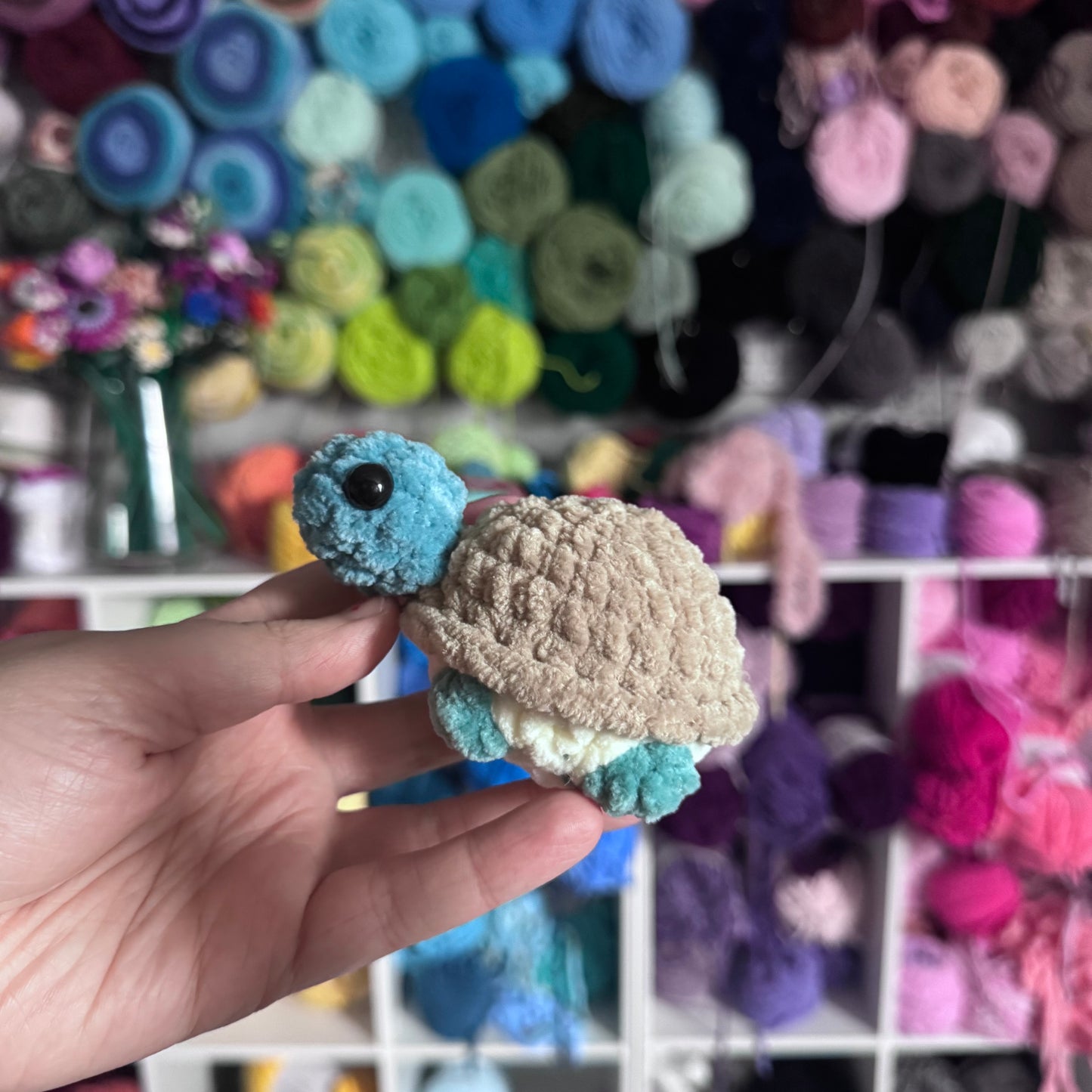 Mini Turtles