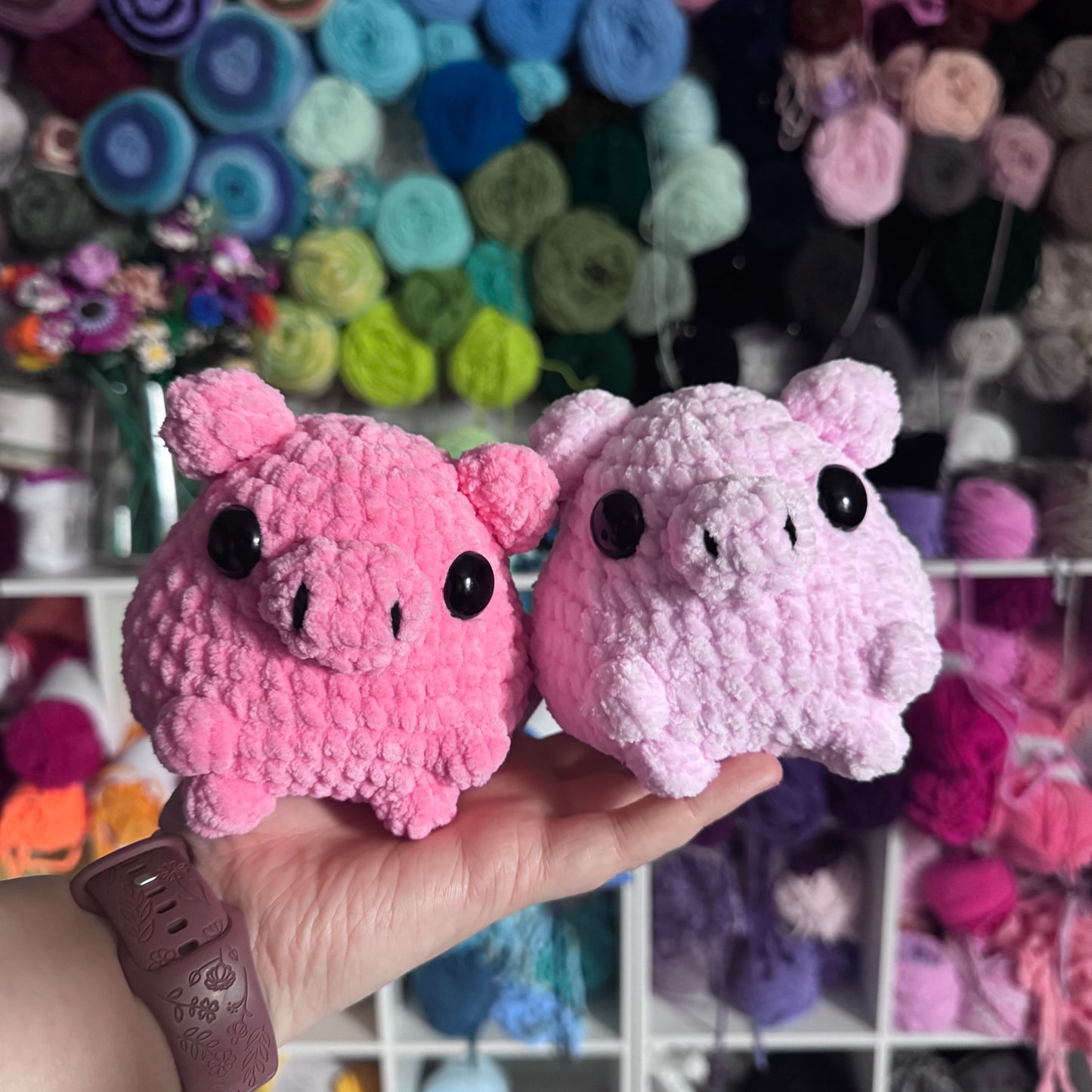 cheeky pigs