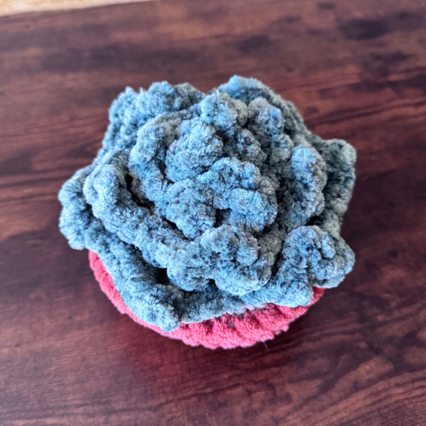 Succulent plushie
