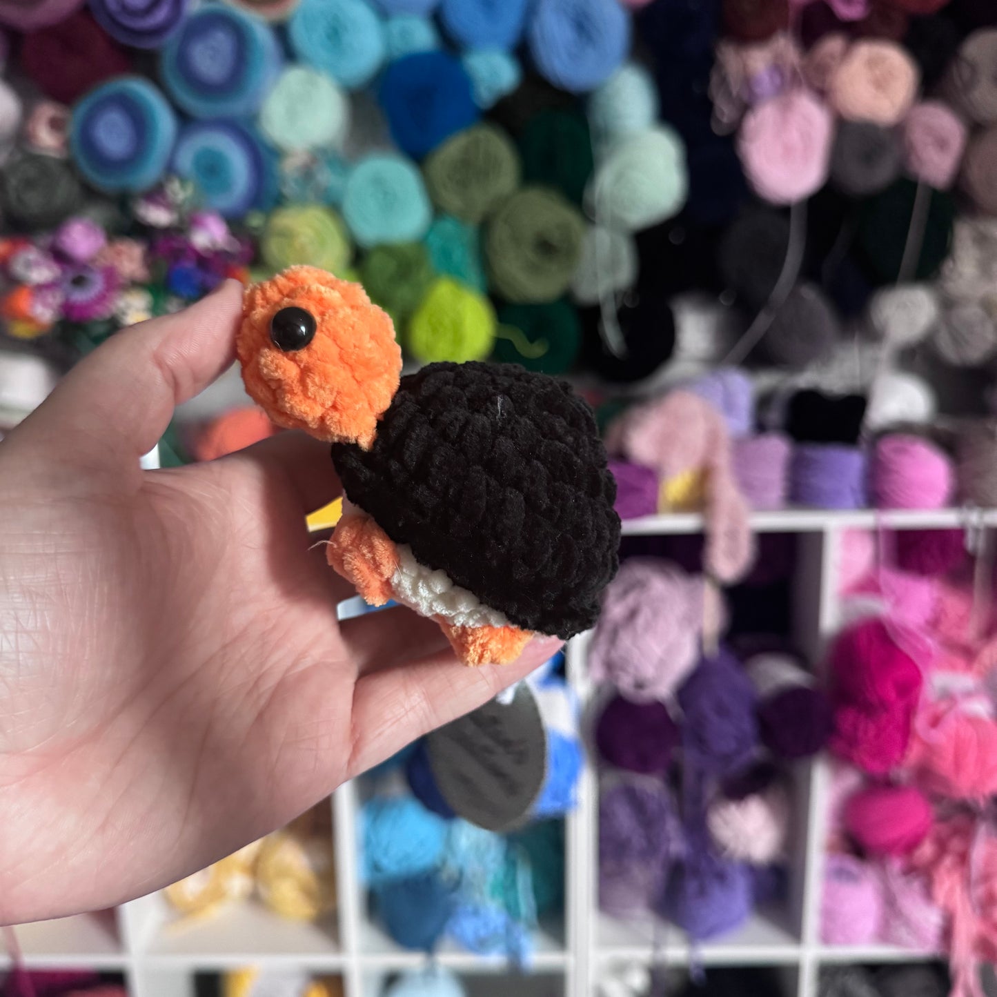 Mini Turtles