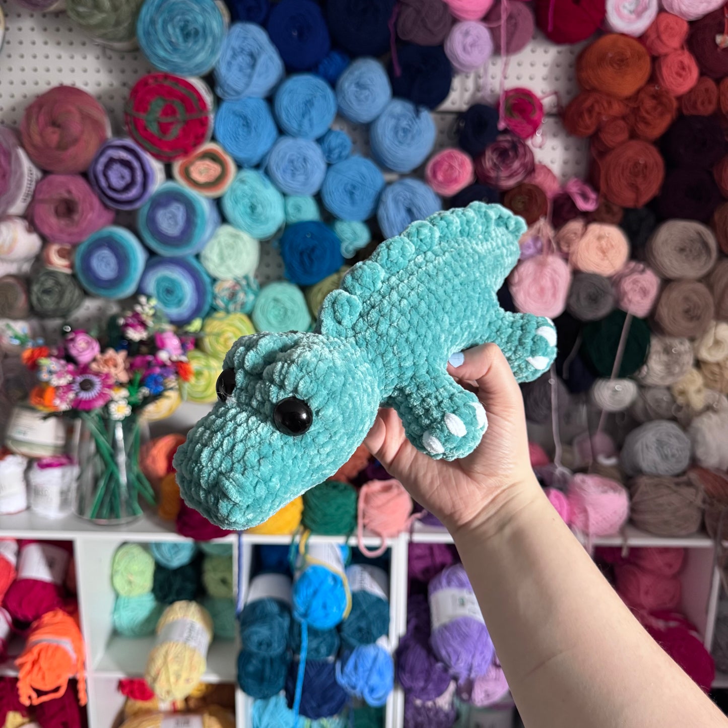 Alligator