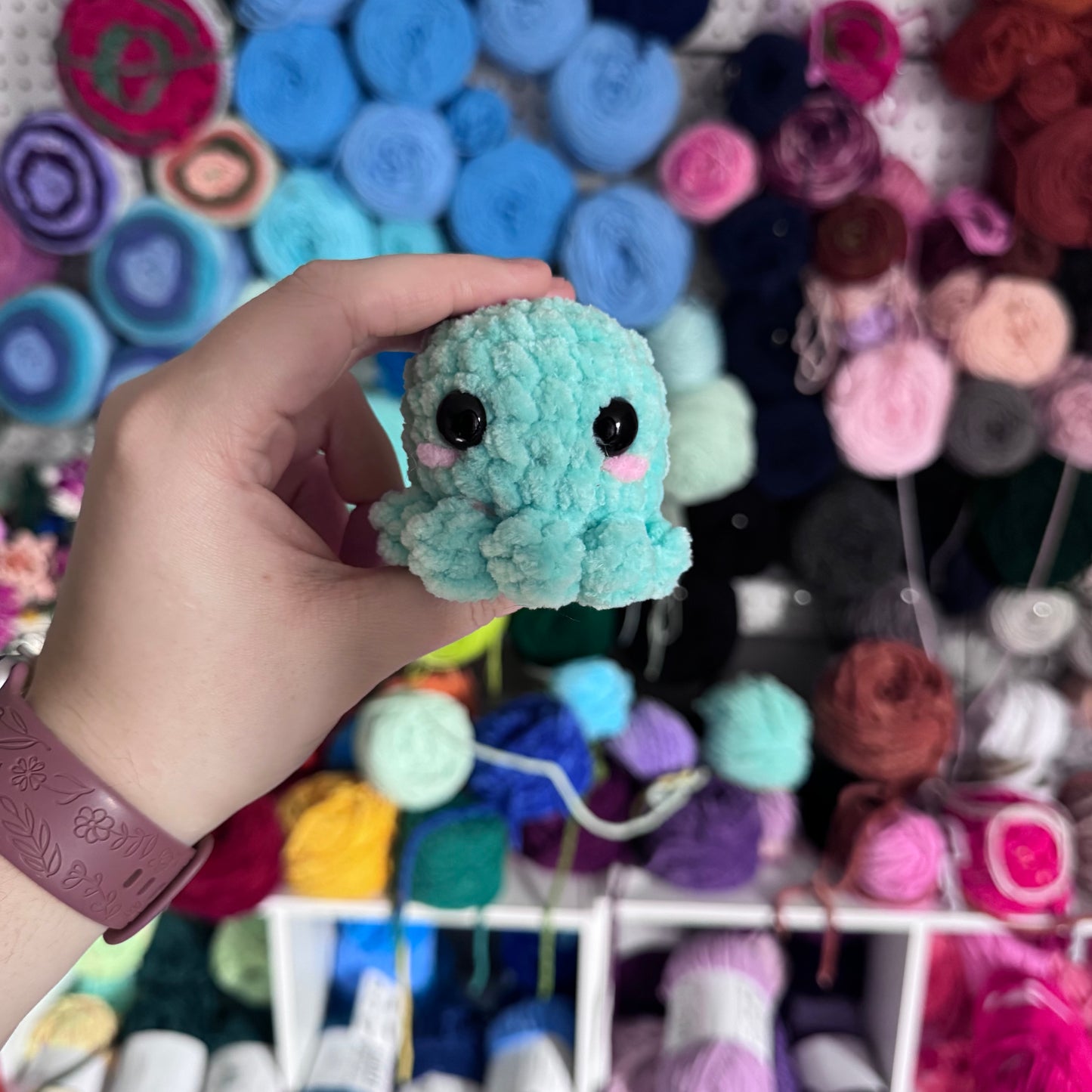 Mini Octopus
