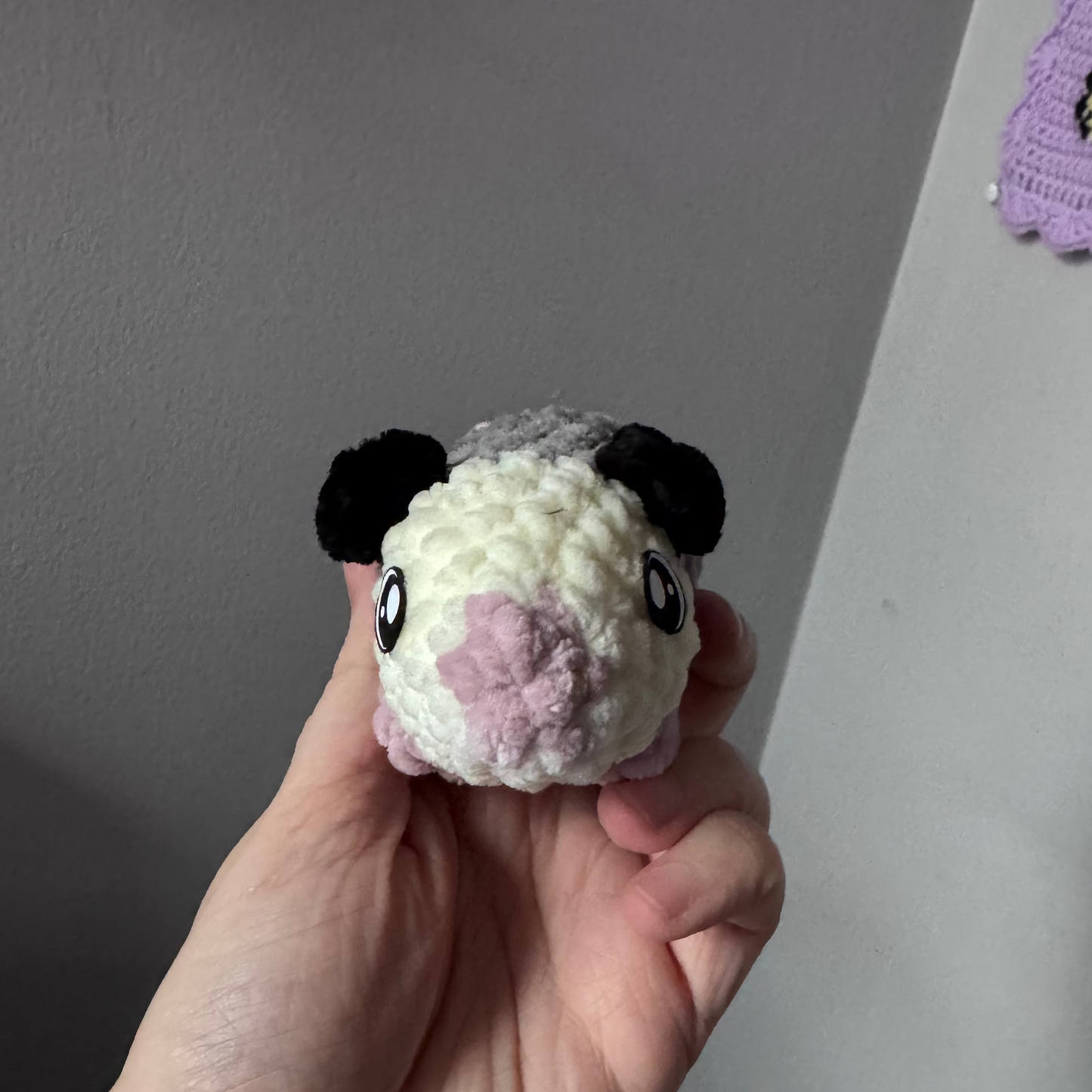 Baby Possum