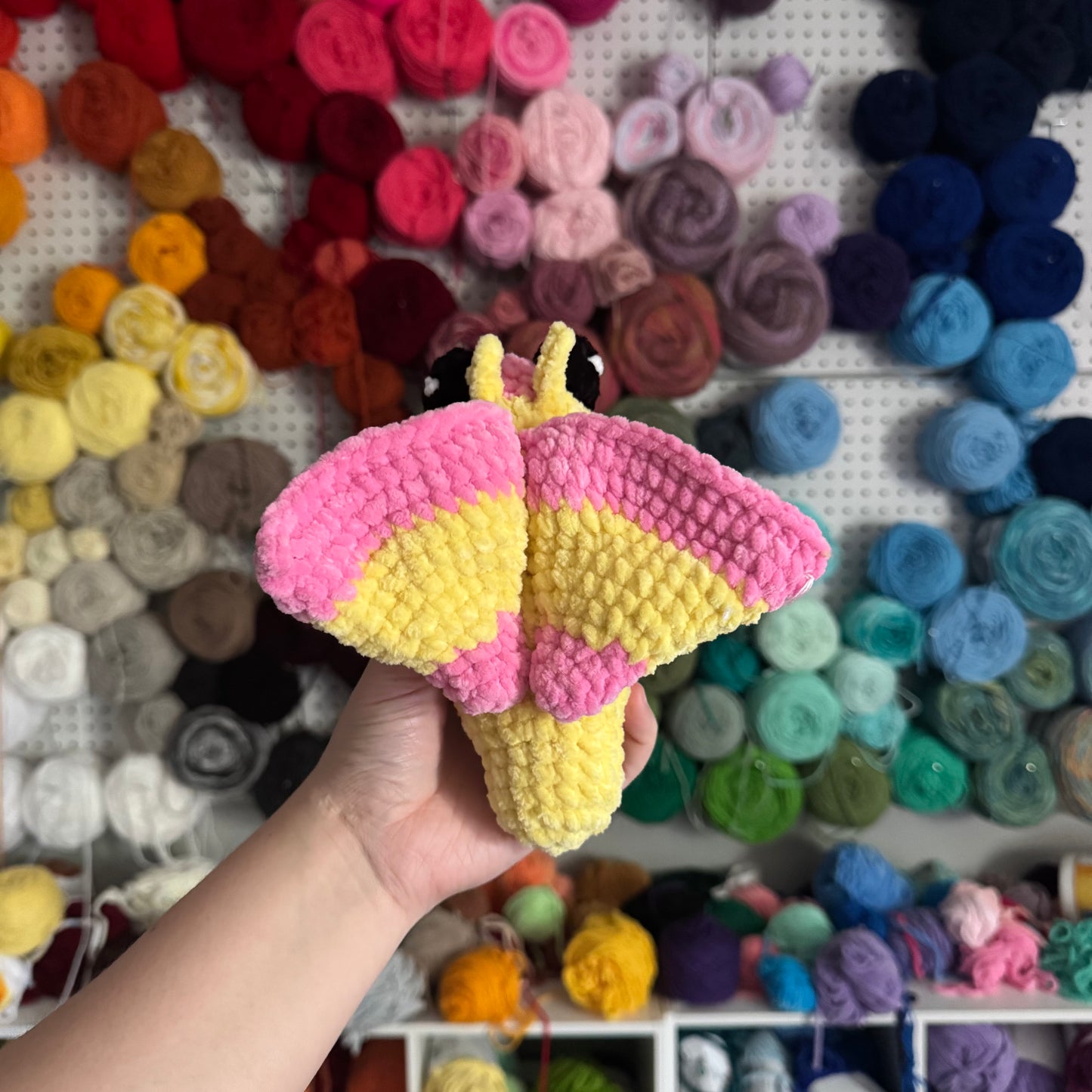 Rosy Maple Moth