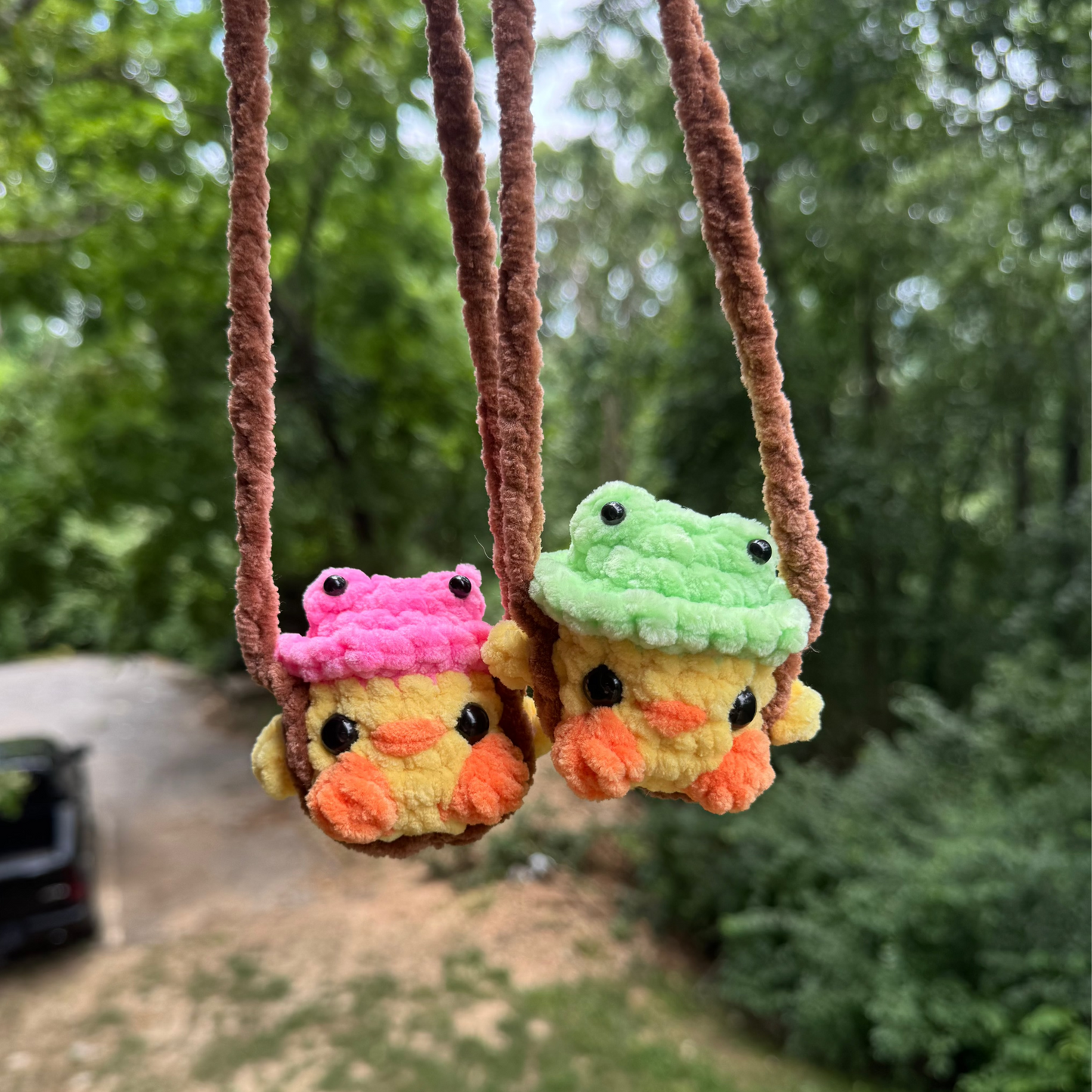 Duck With a Frog Hat Hanger
