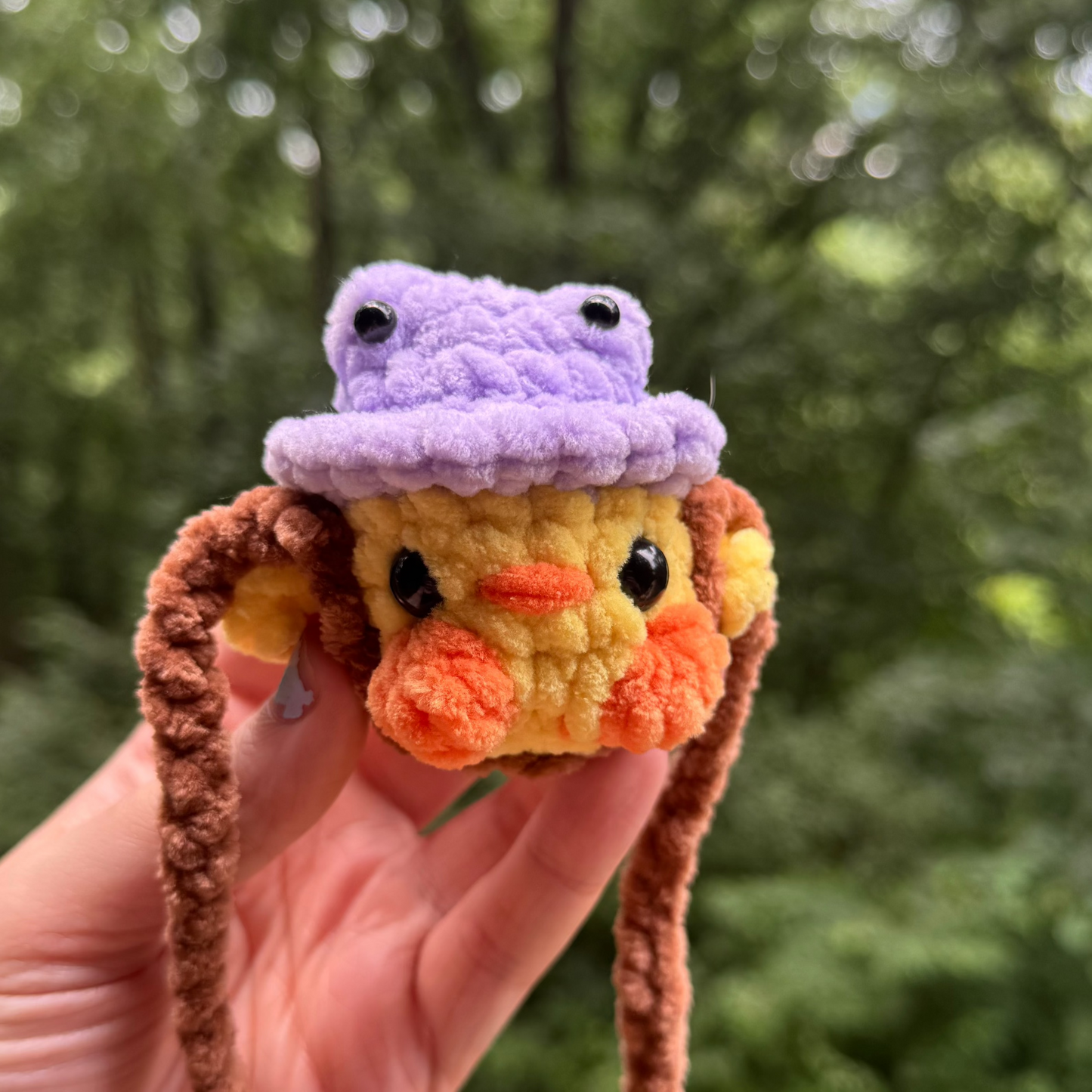 Duck With a Frog Hat Hanger