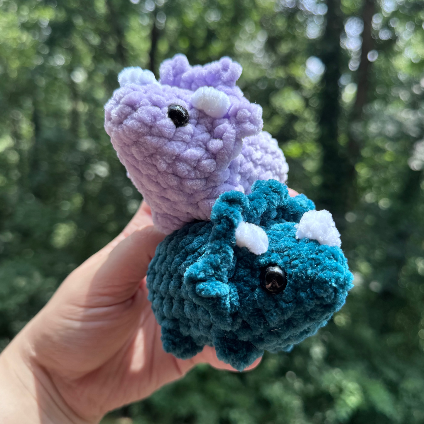 Mini Triceratops