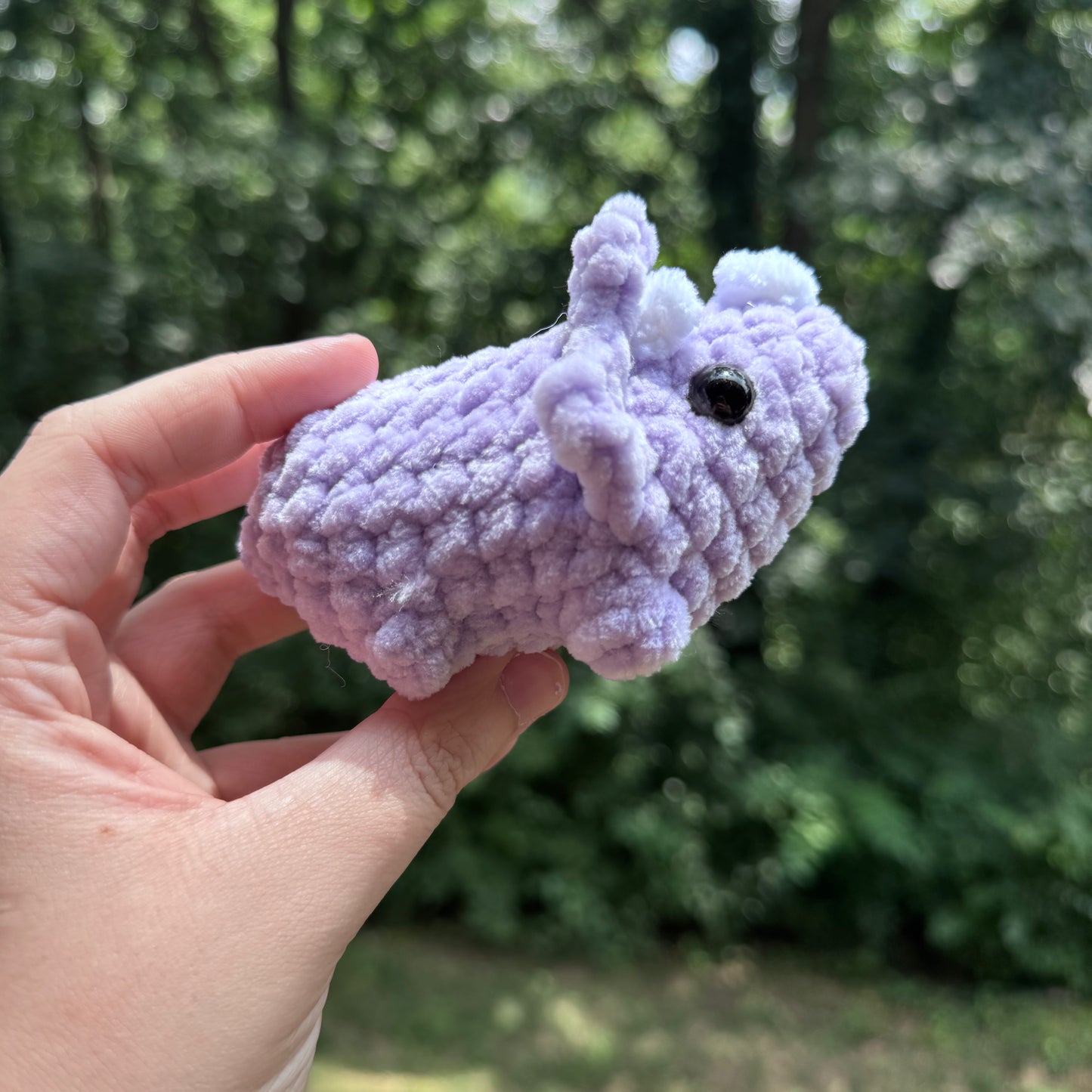 Mini Triceratops