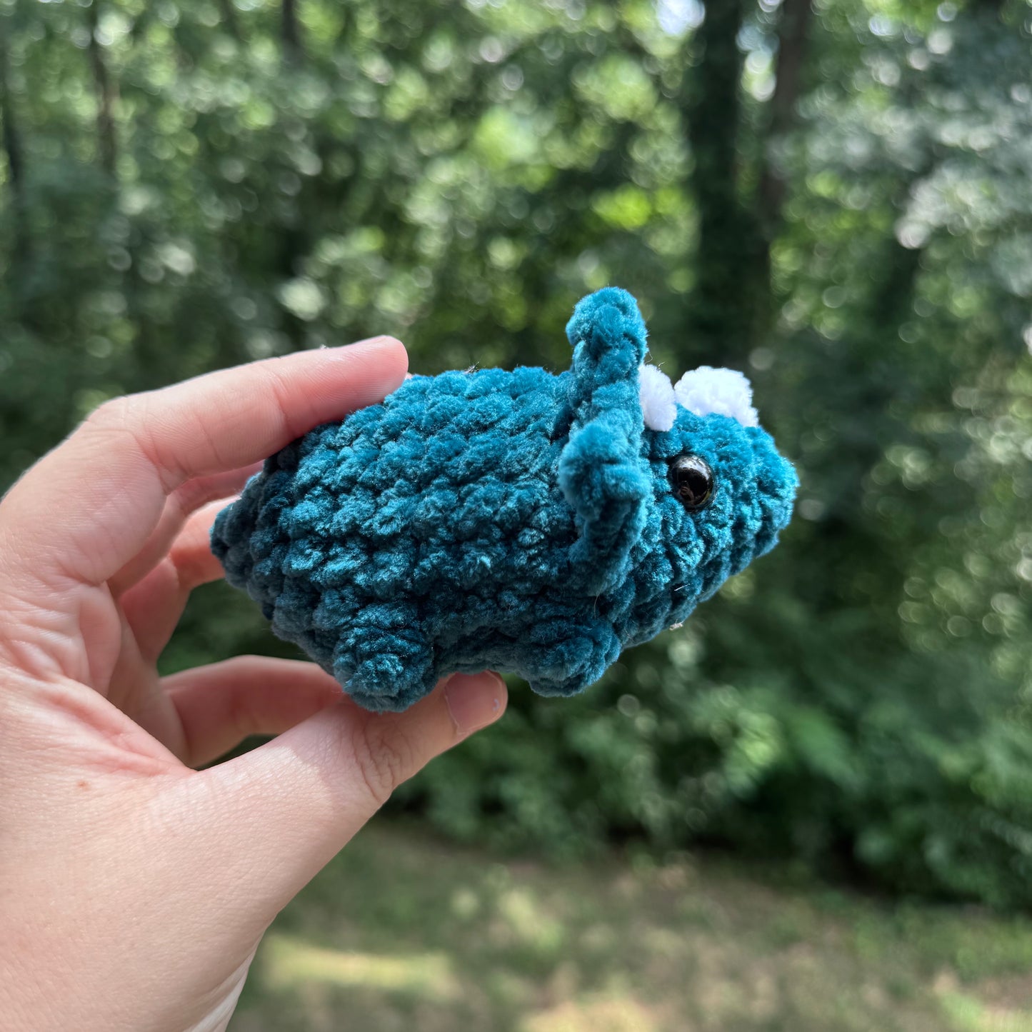 Mini Triceratops