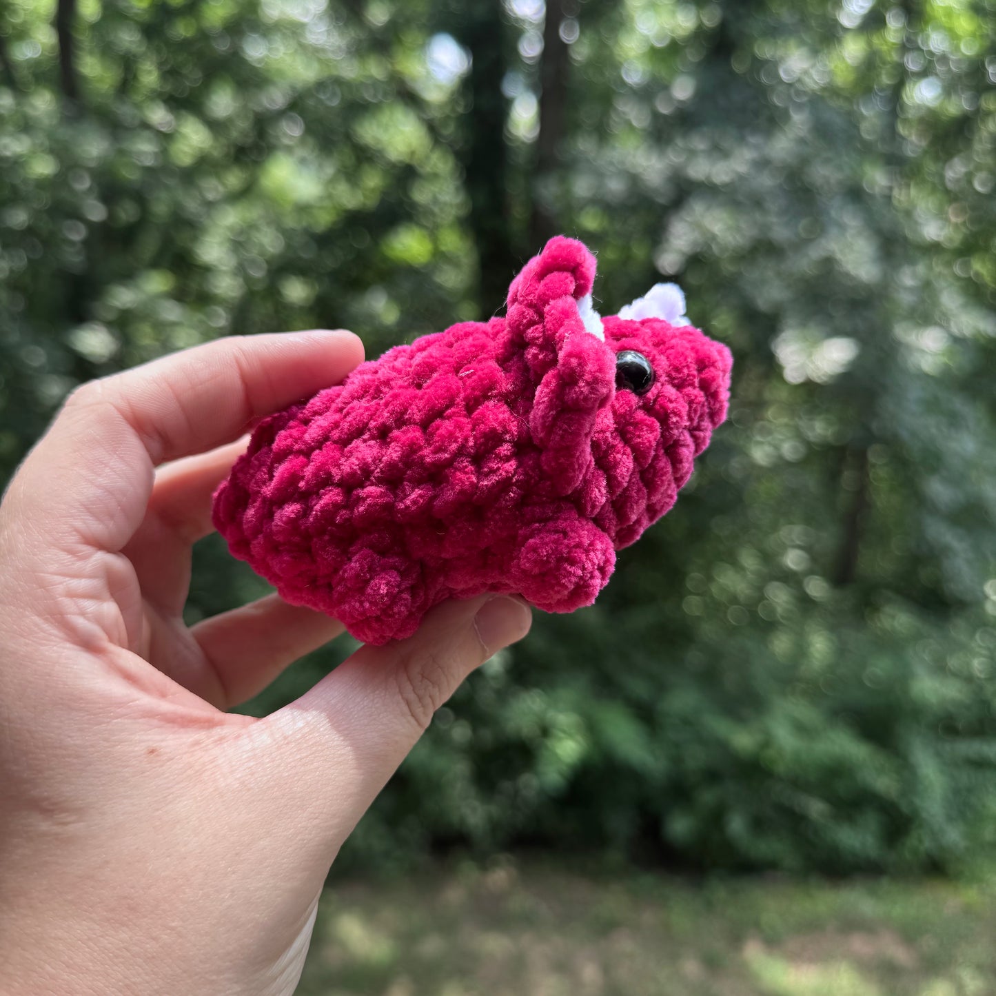 Mini Triceratops