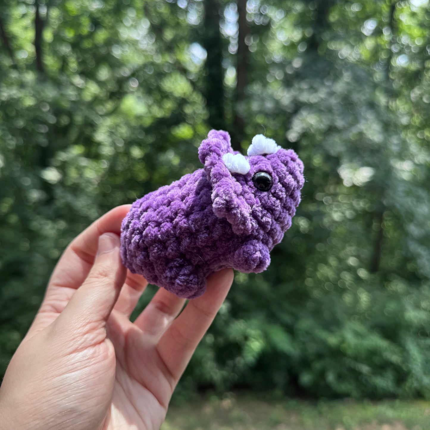 Mini Triceratops