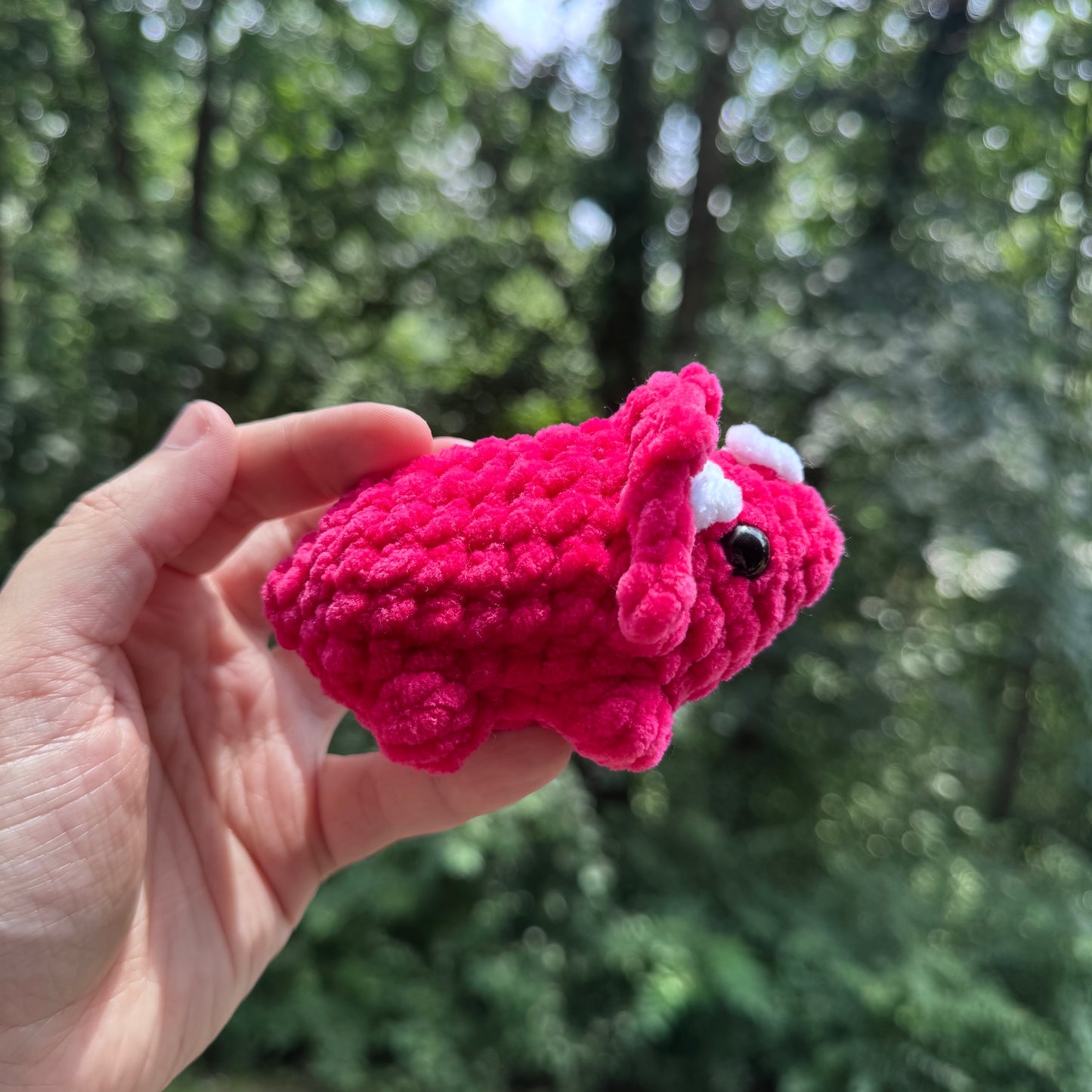 Mini Triceratops