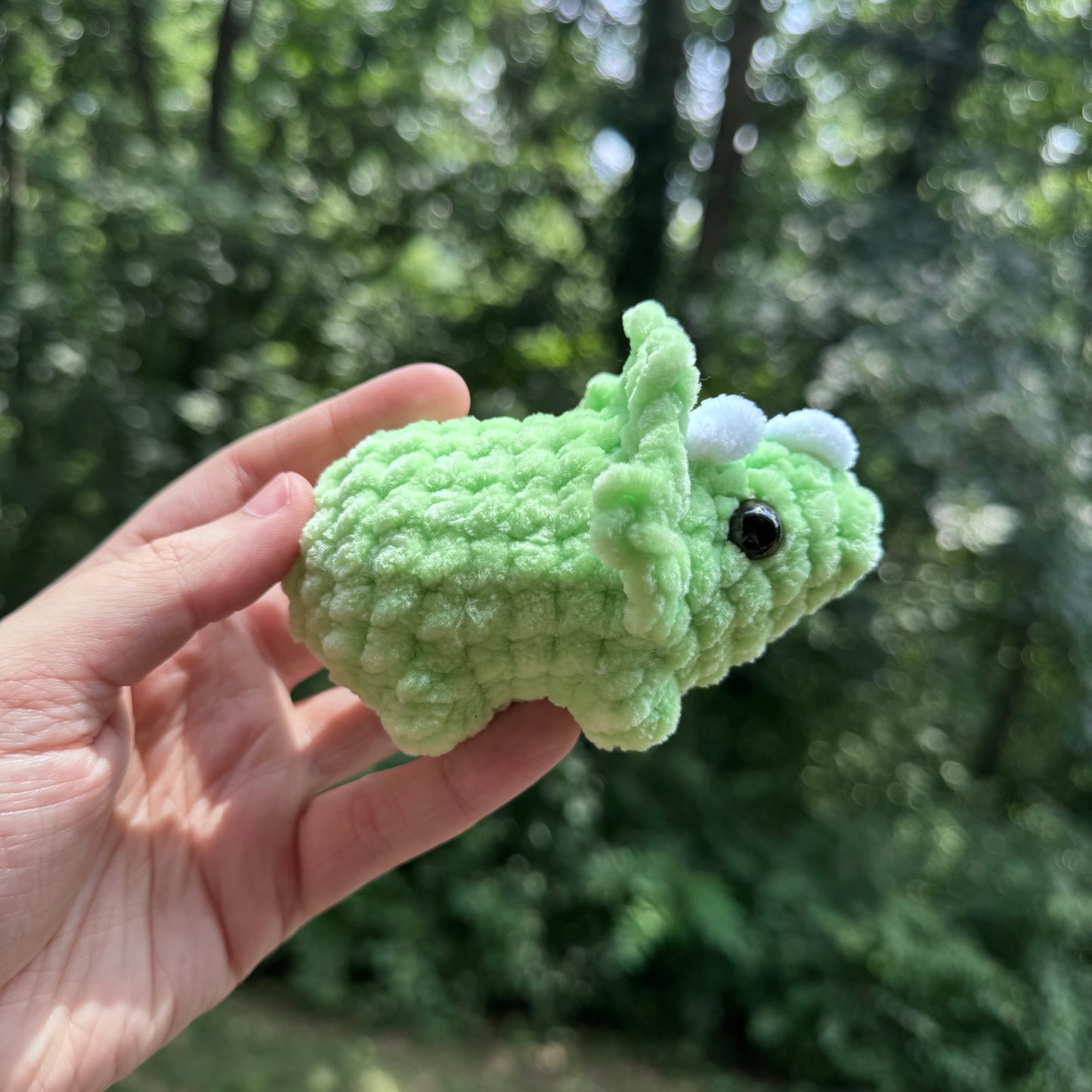 Mini Triceratops