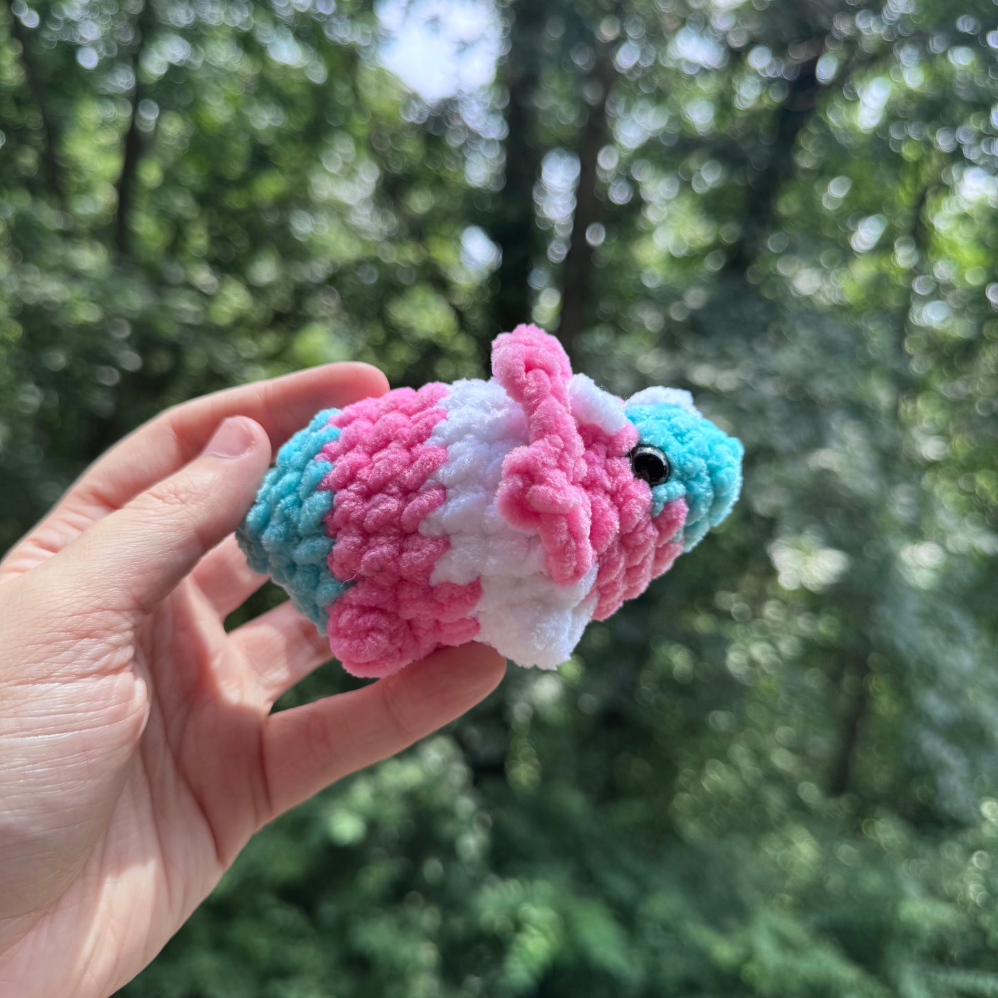 Mini Triceratops