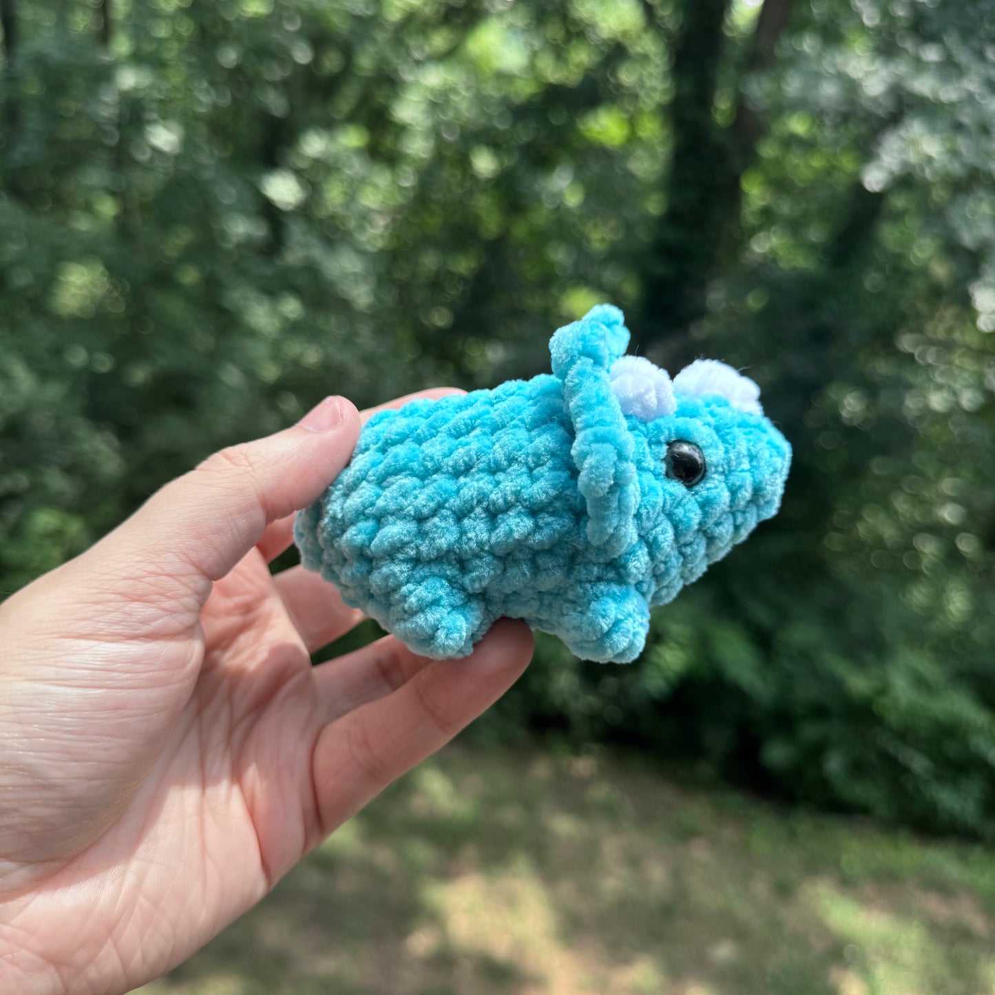 Mini Triceratops