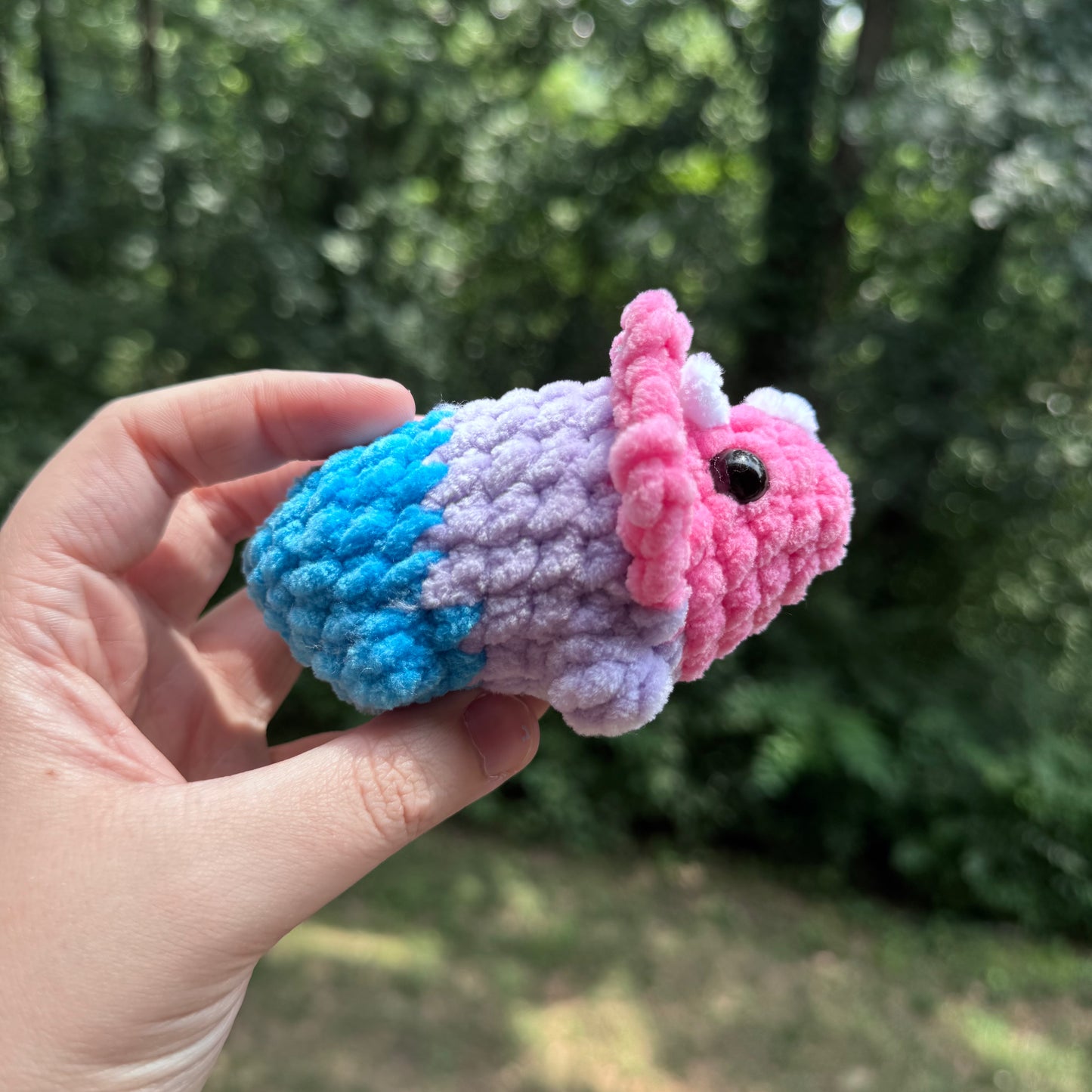 Mini Triceratops