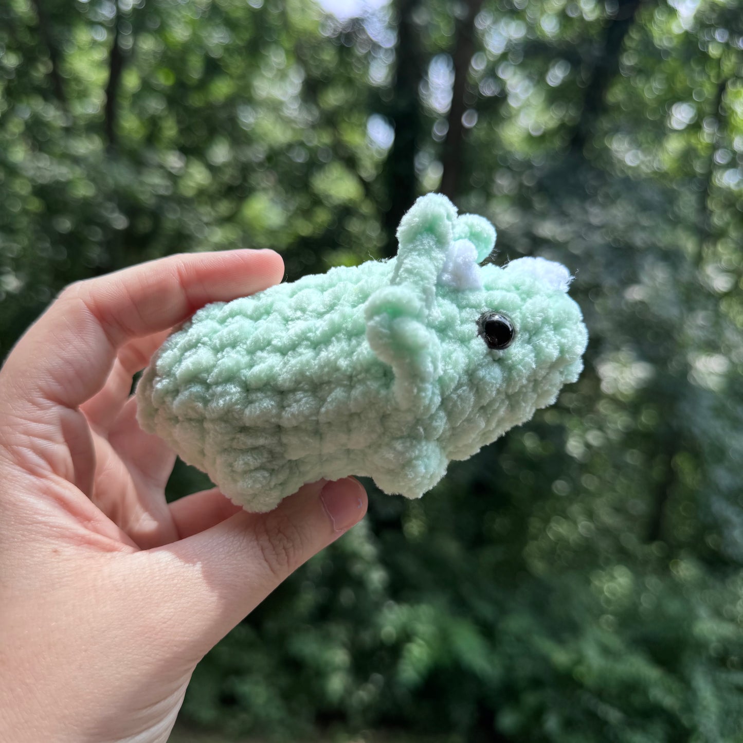 Mini Triceratops